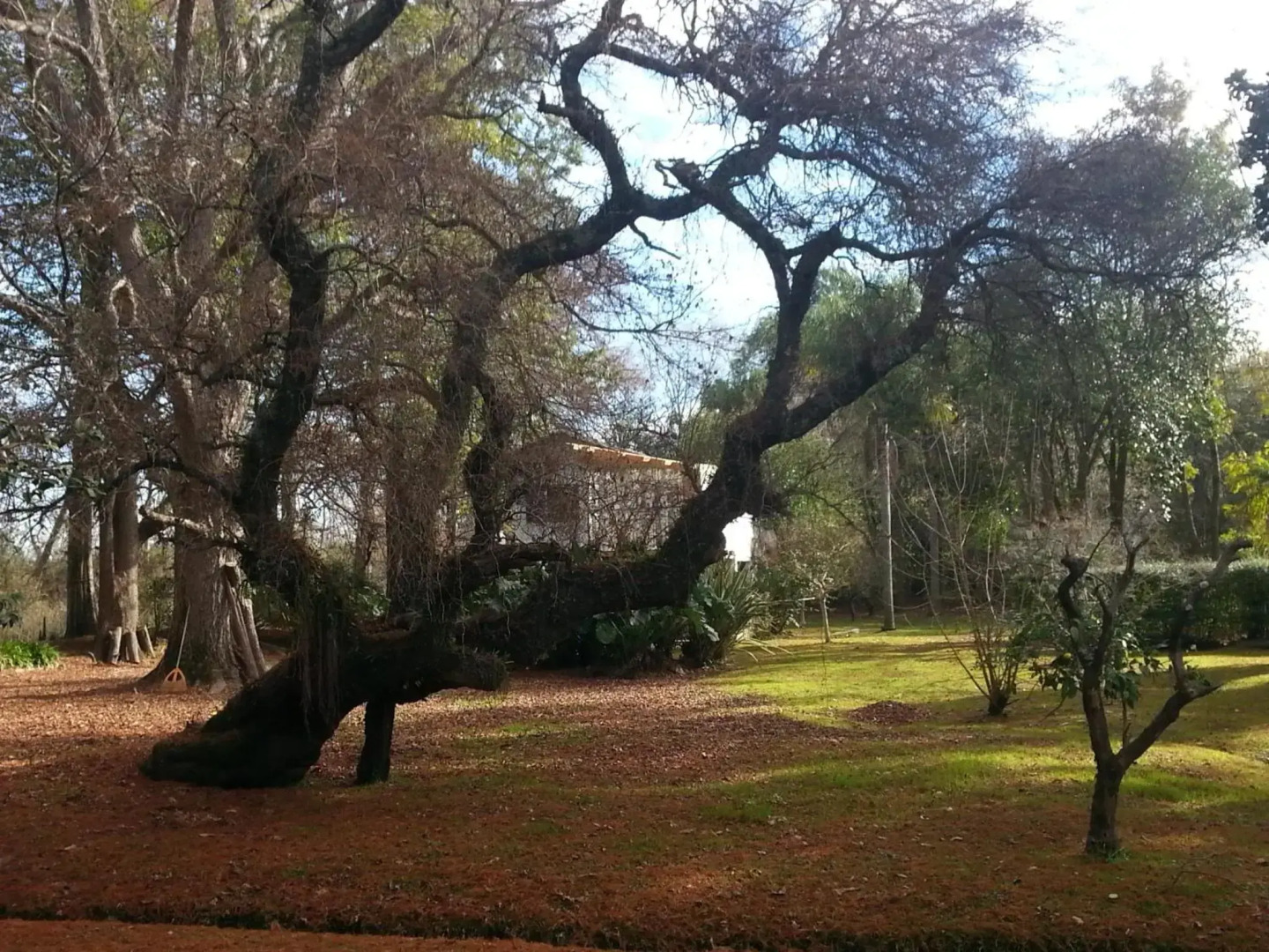 Villa Ocampo