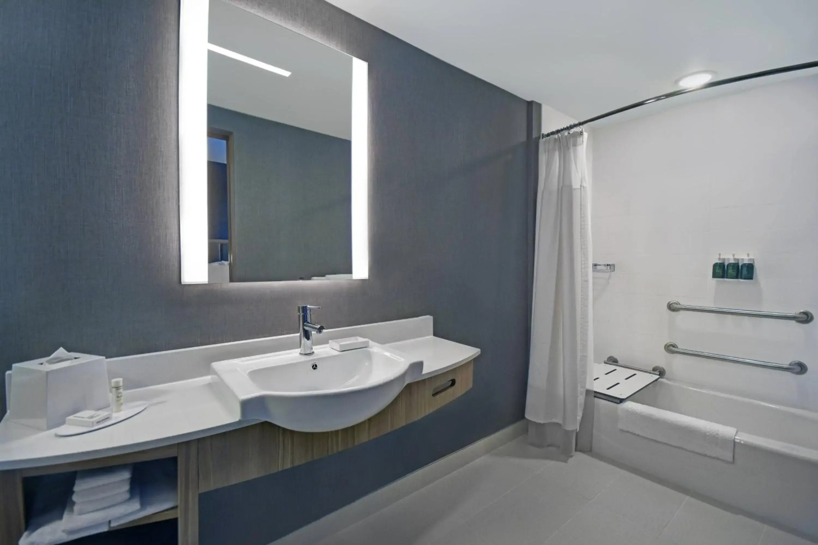 SpringHill Suites by Marriott St. Paul Arden Hills