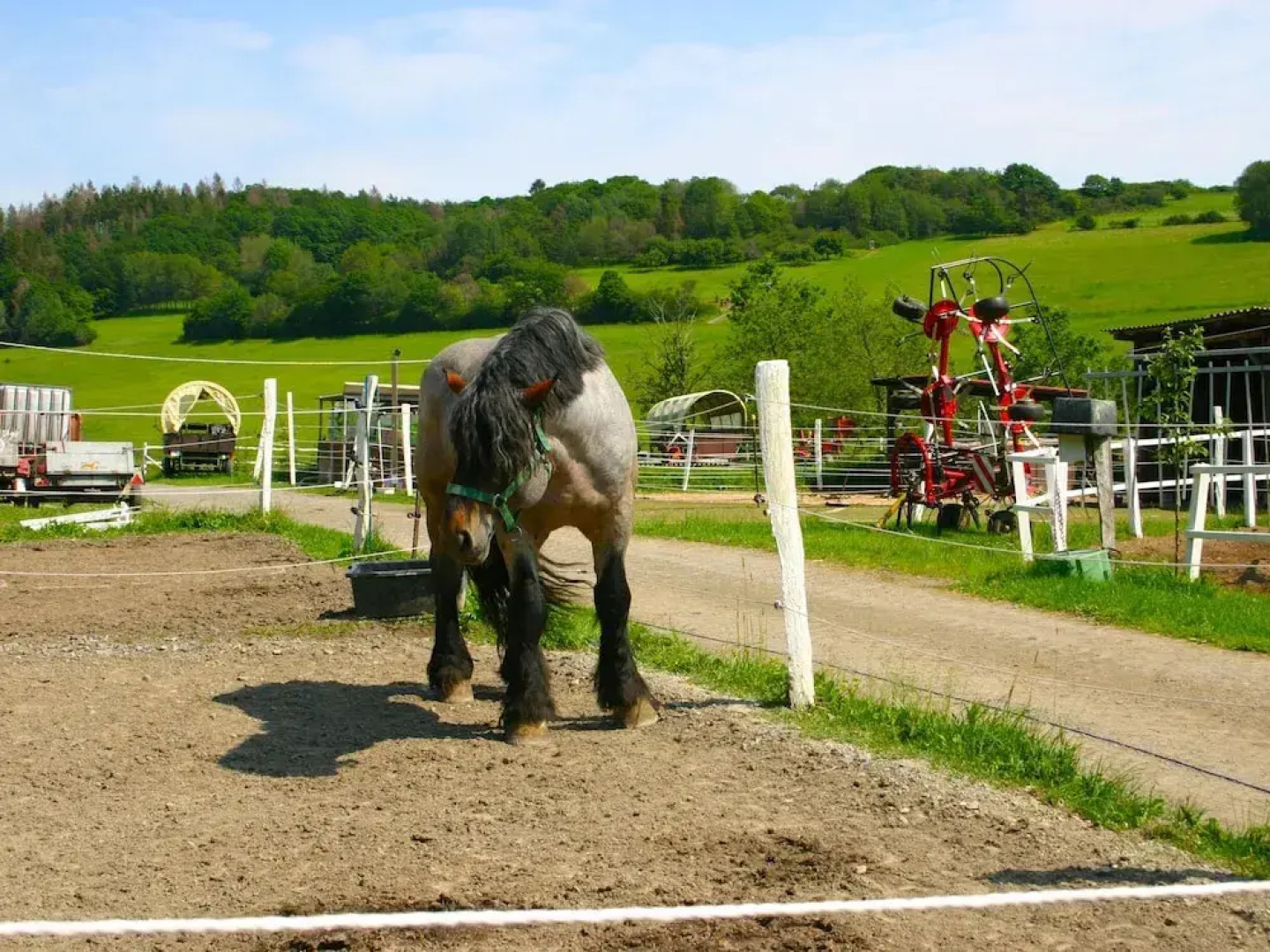 Am Sterneberg 250 Frankenau
