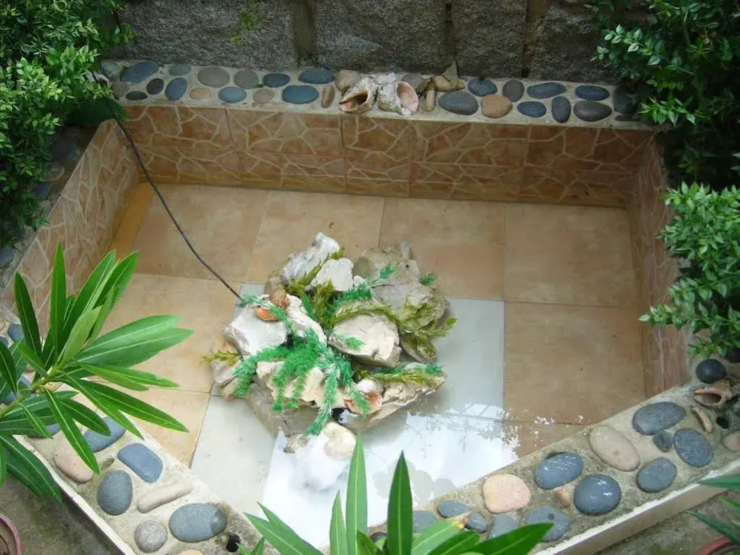 Ice Garden Guest House