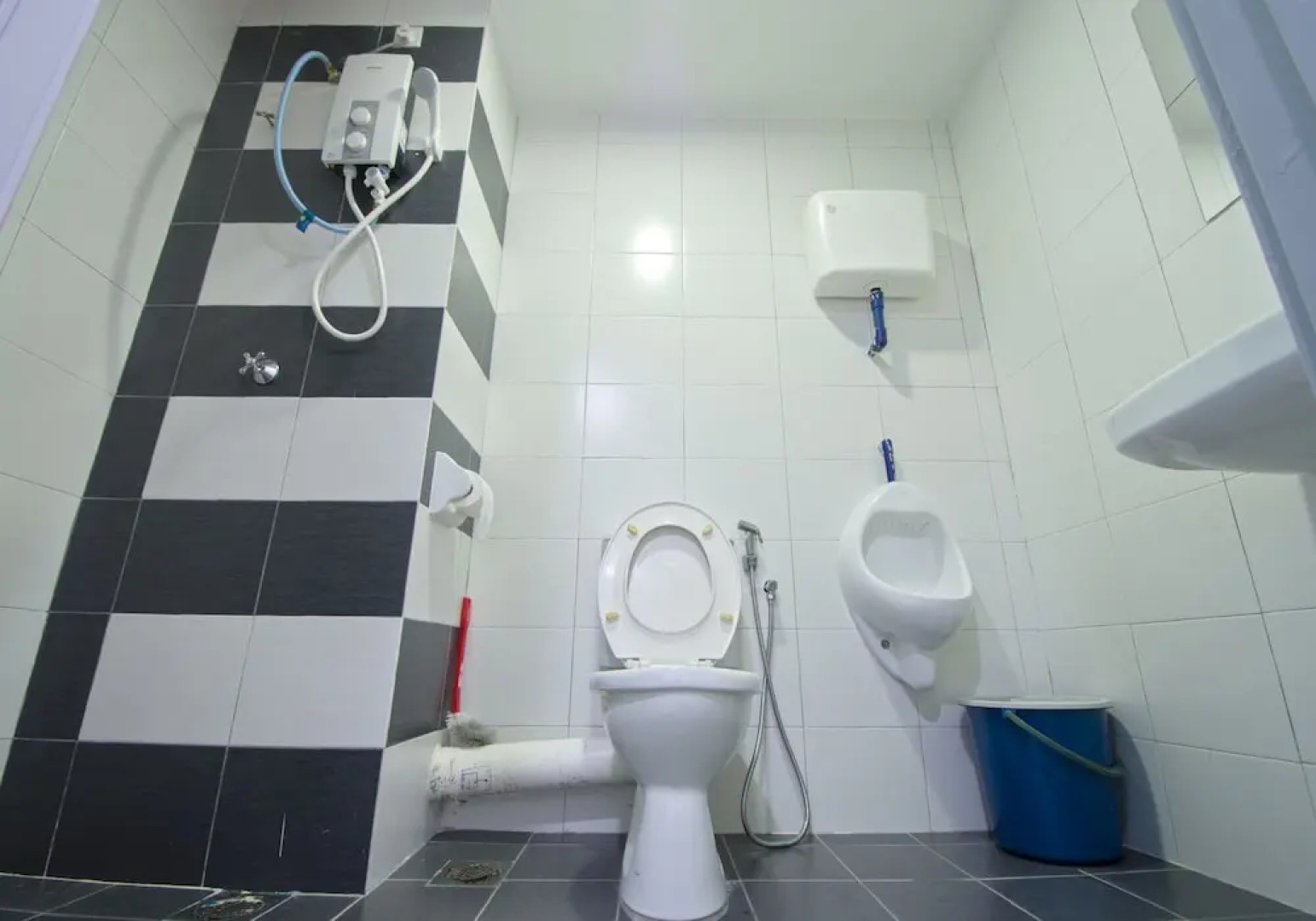 The CEO Duplex Studio Suite