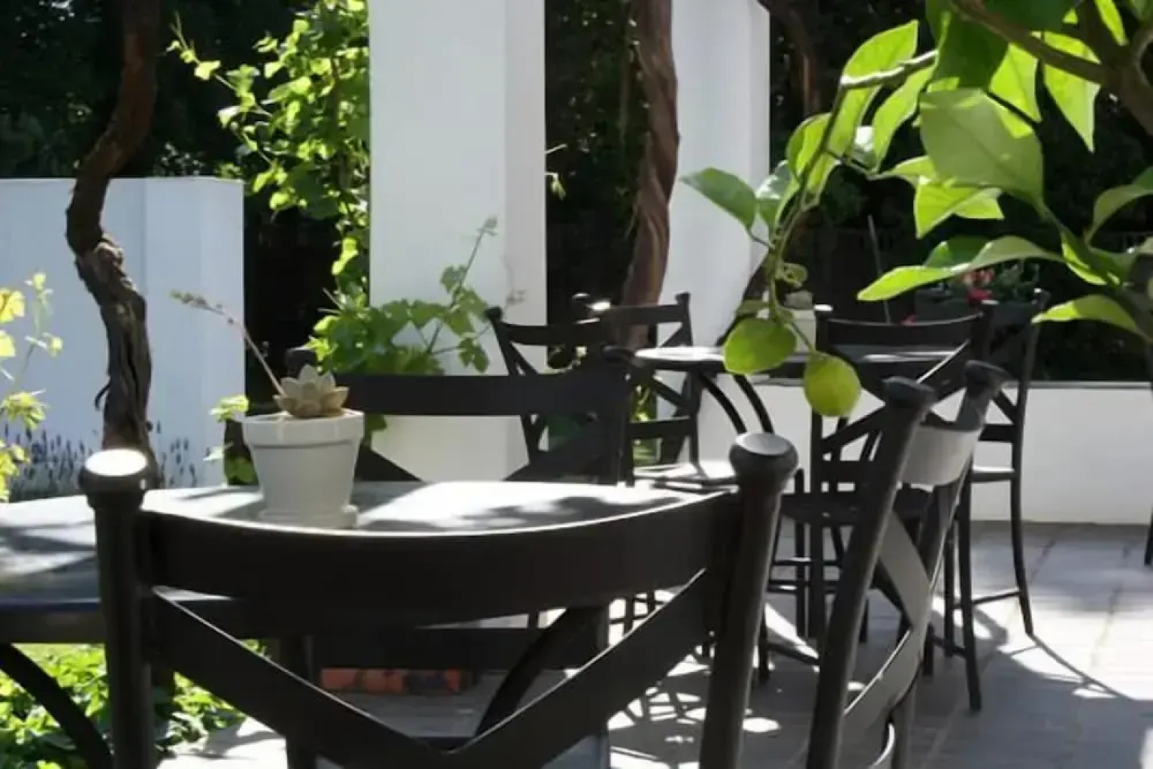 Lemon & Lime Guest House