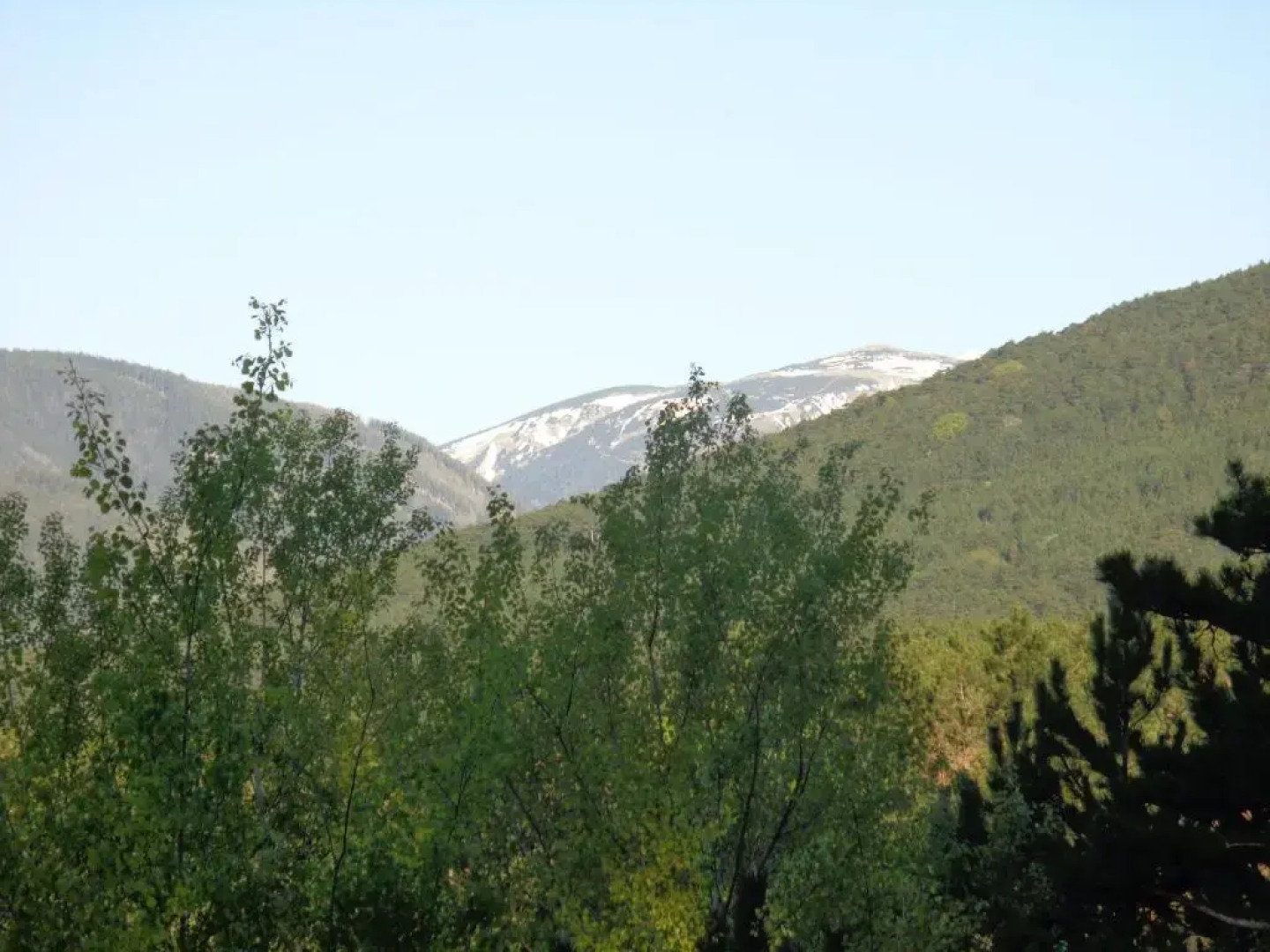 Apartments Himmelreich