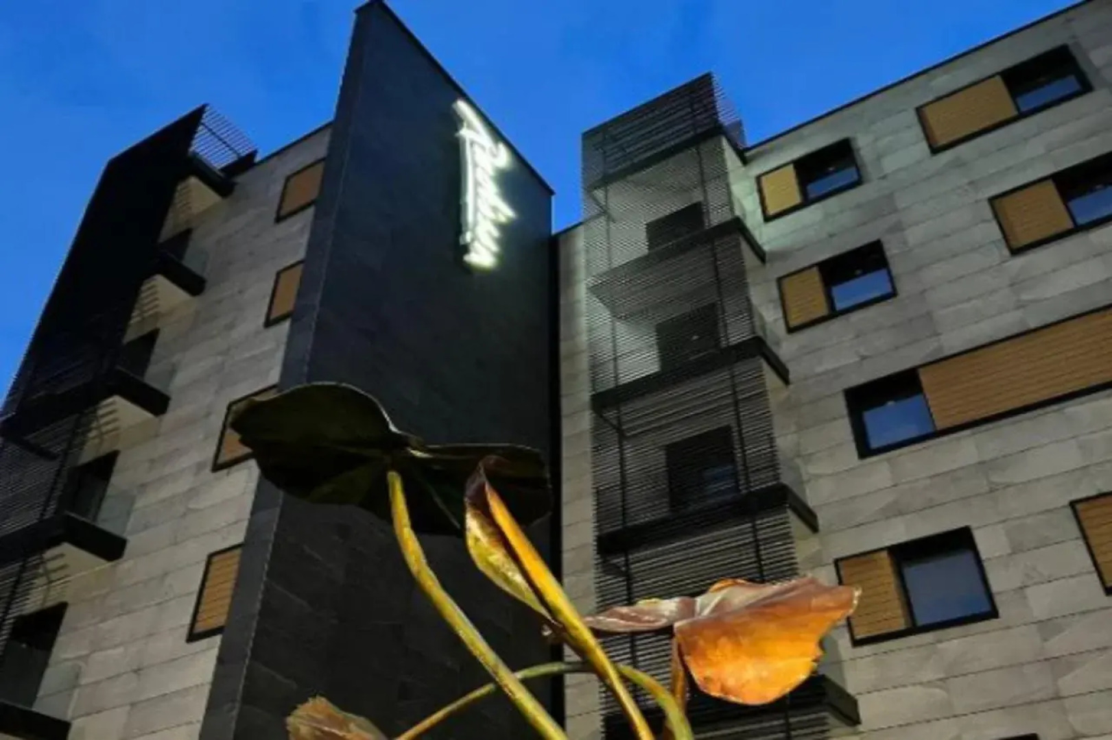 Radisson Hotel Nola Naples