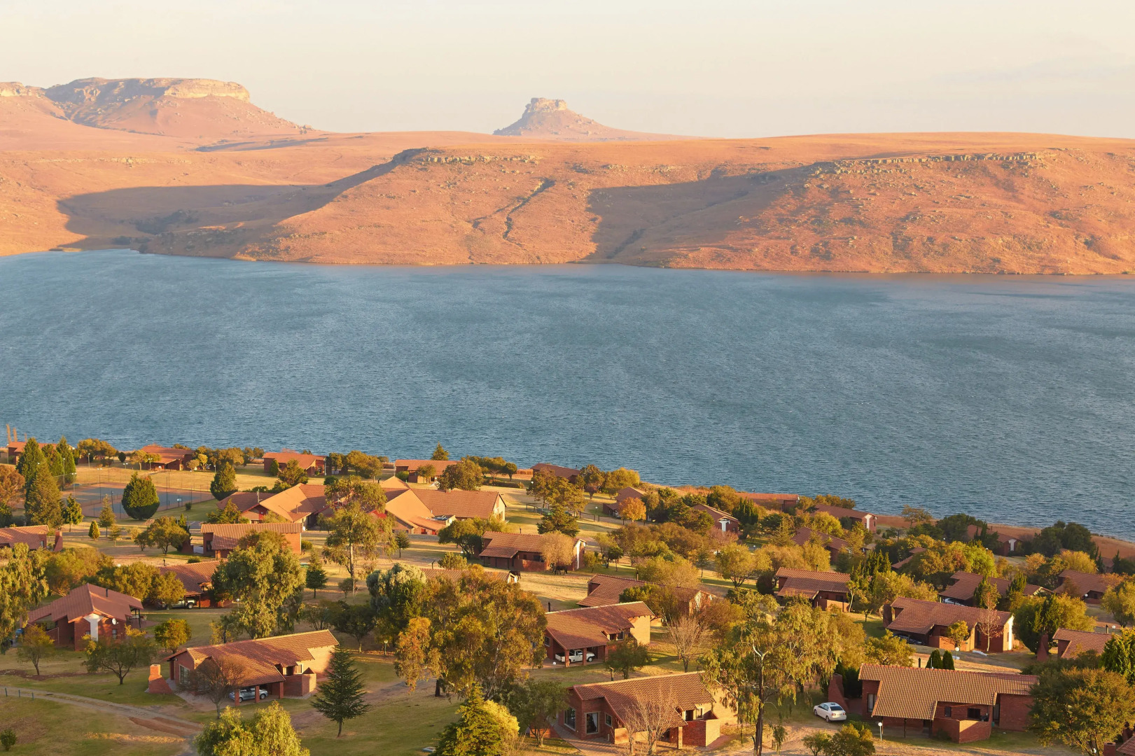 First Group Qwantani