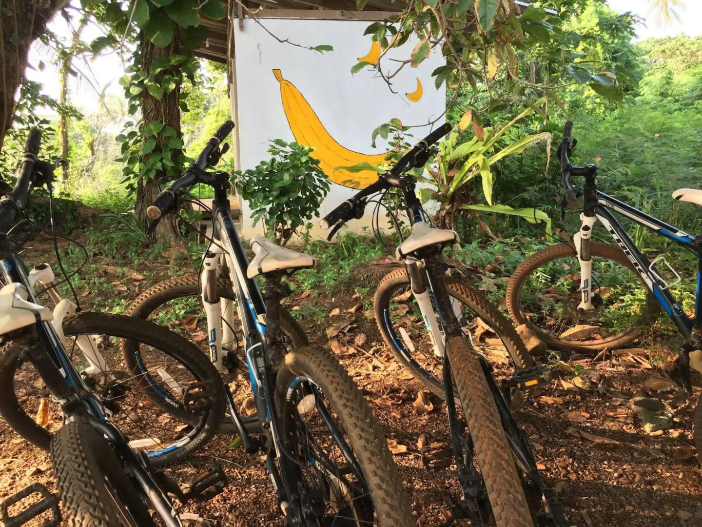 Banana Sunset Bar & Bungalows