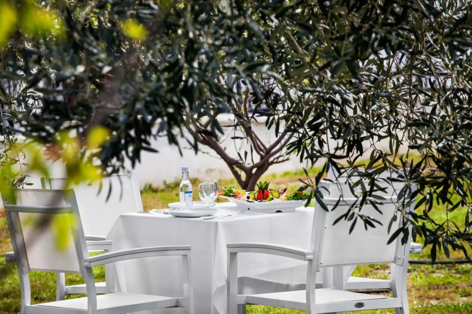 Asterias Premium Holiday Apartments