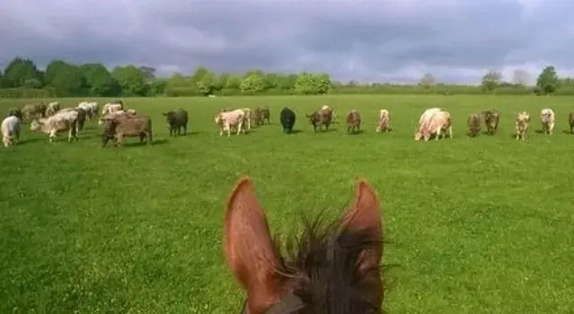 Stable Cottage - Battens Farm