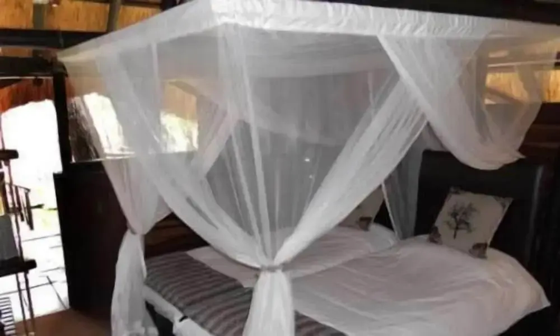 The Tree Lodge at Sikumi