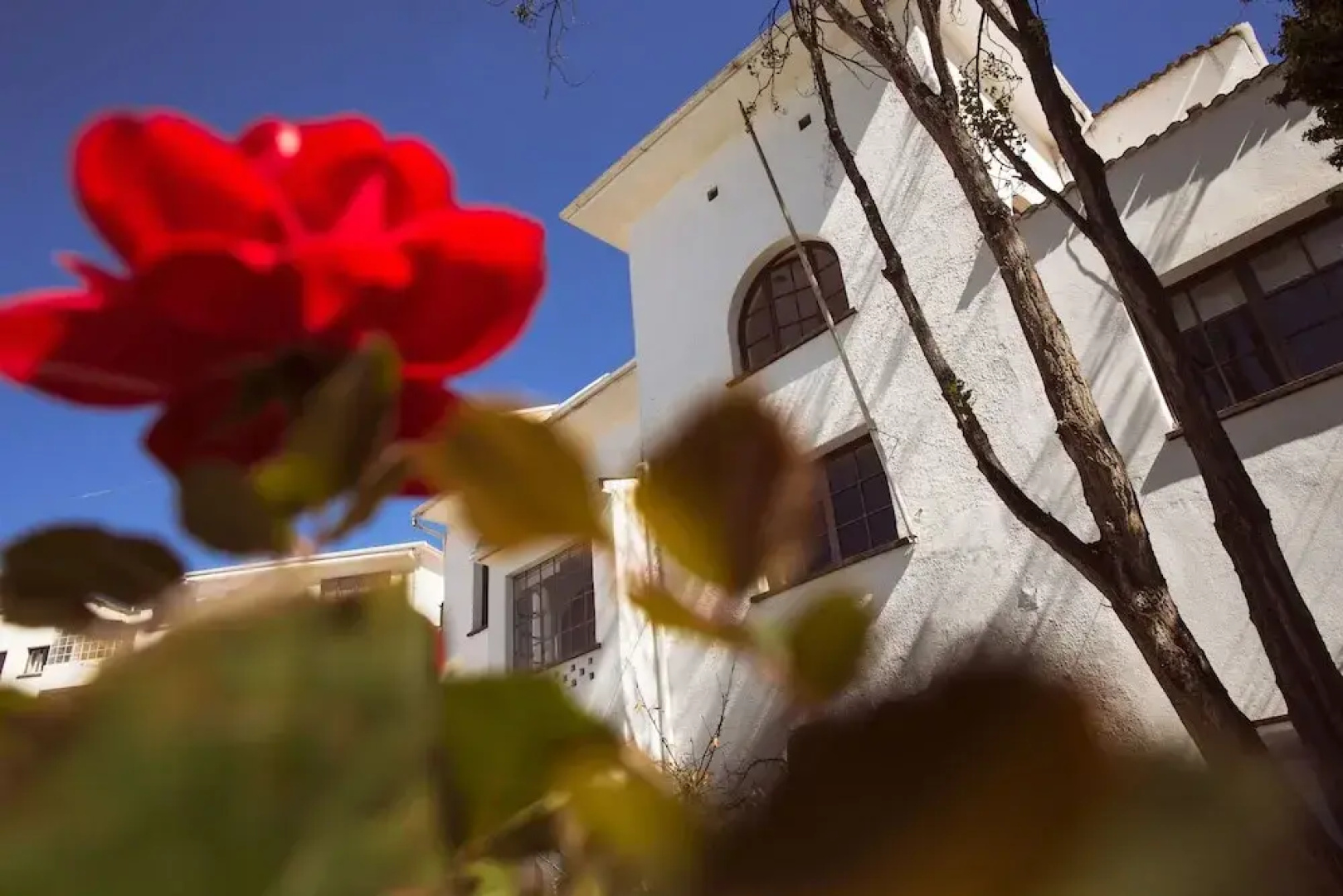El Museo Hotel Boutique