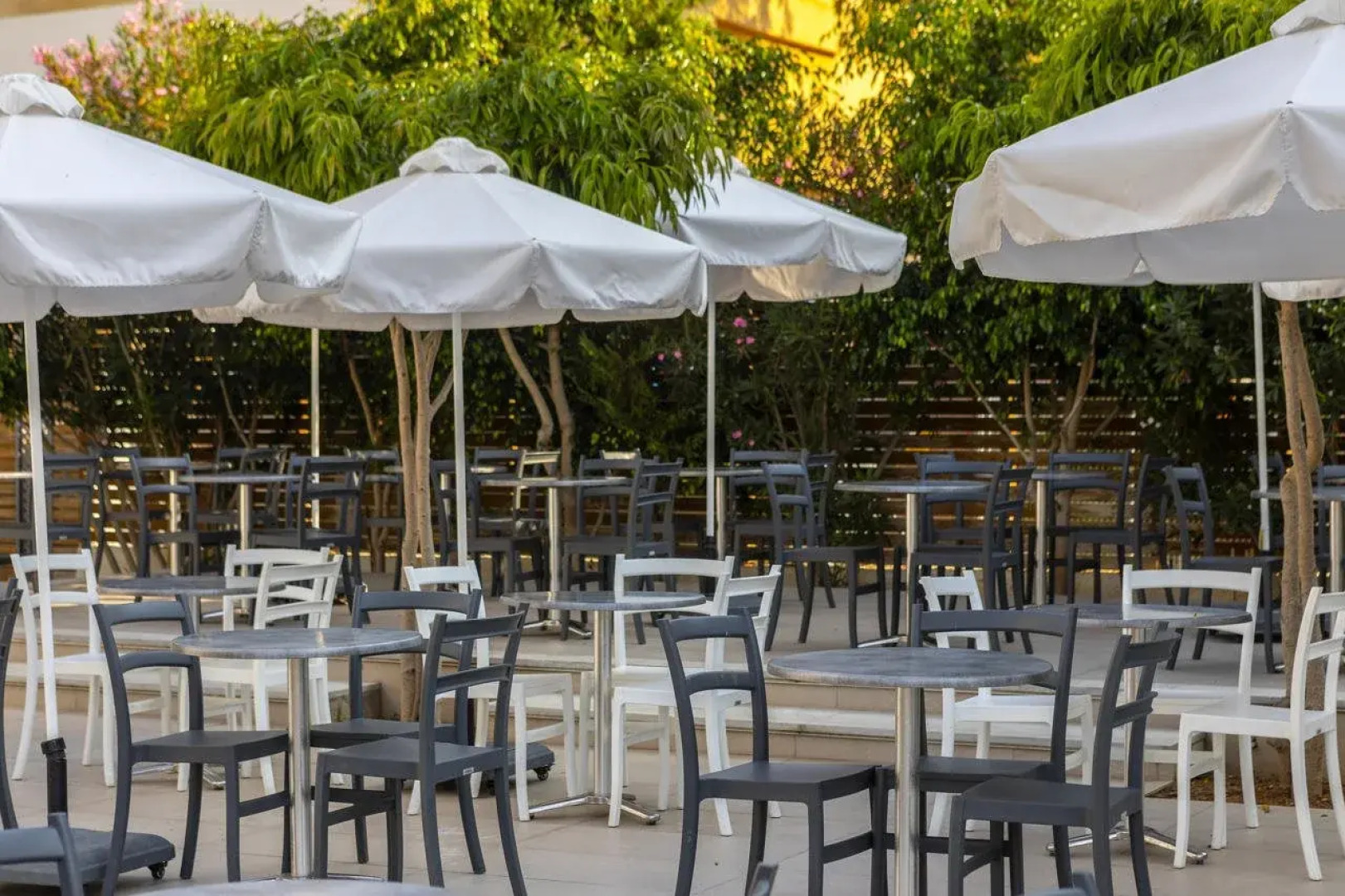 Mayfair Hotel  Gardens