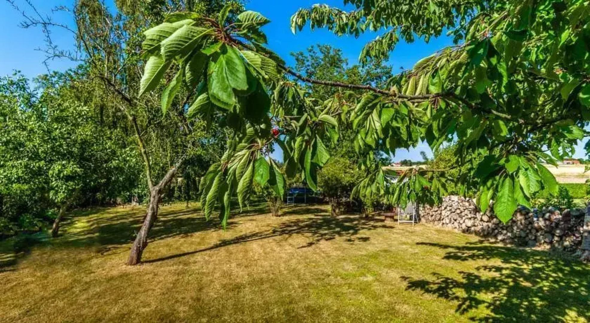 Røllike 24 holiday house