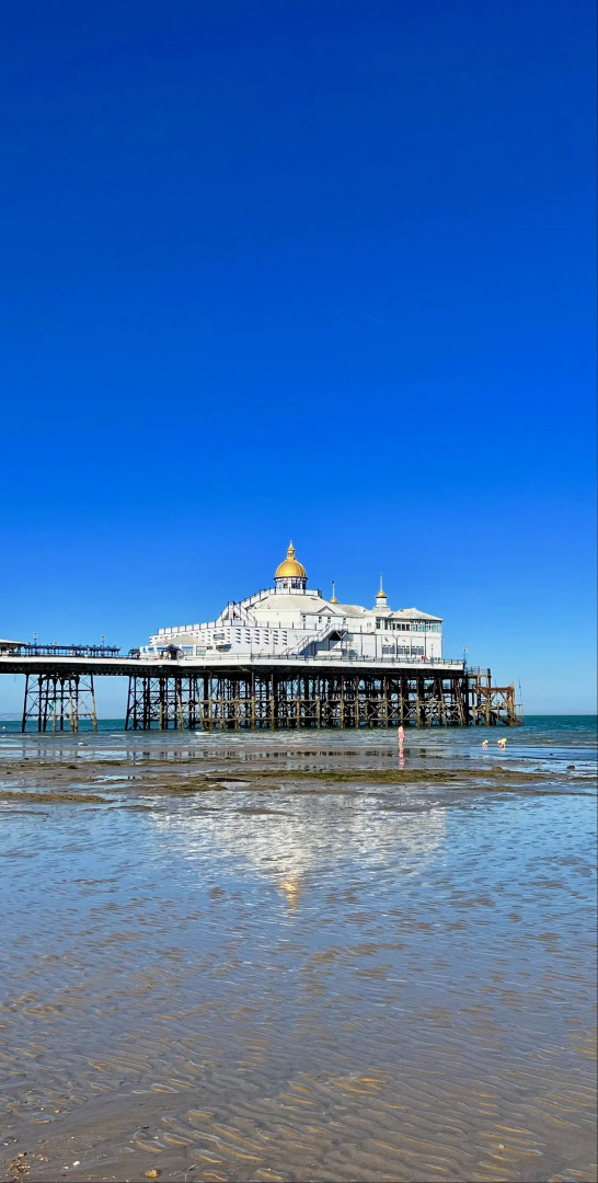 Pearl and Pebbles Hotel