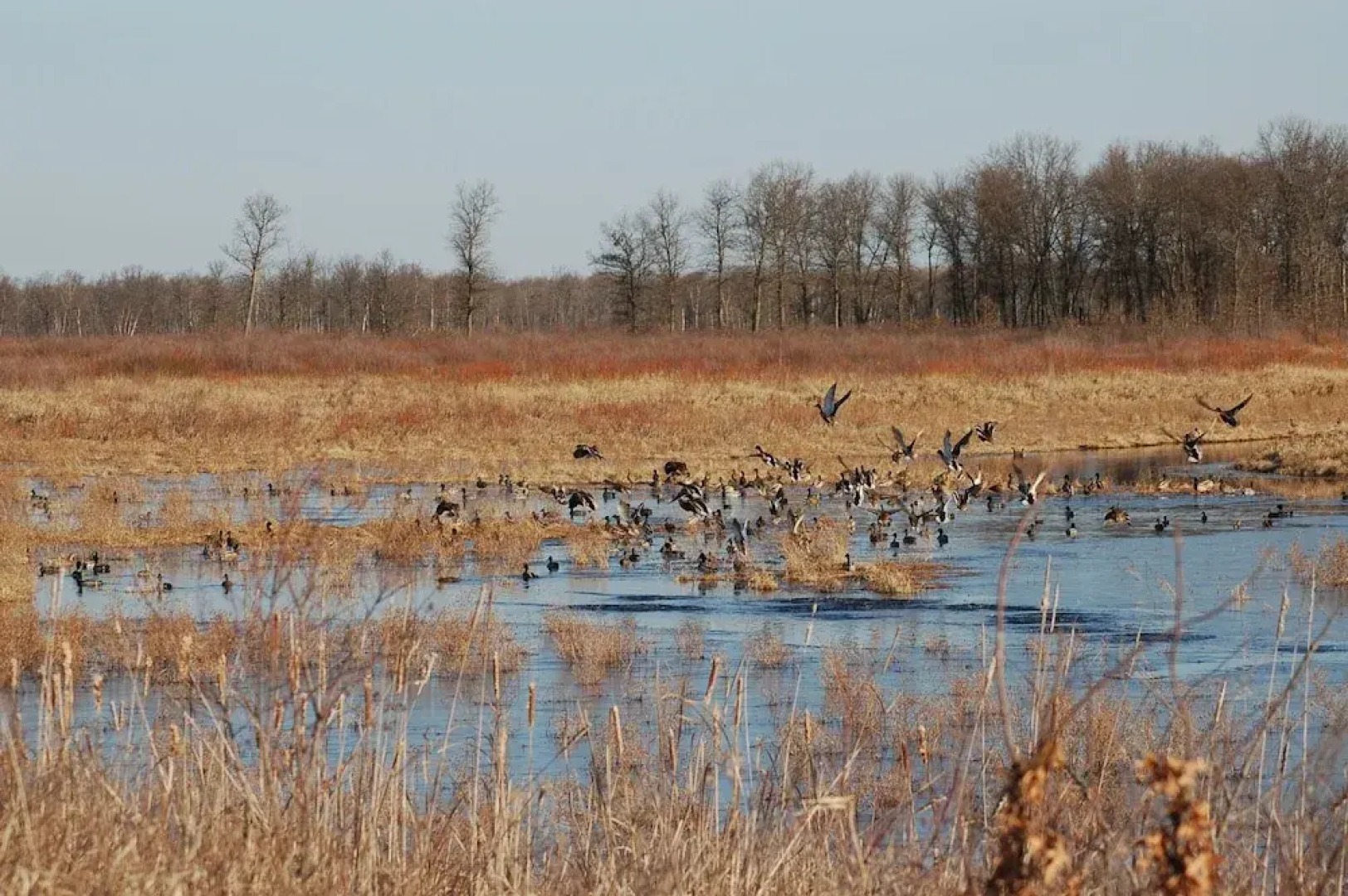 The Trail Inn - Grantsburg