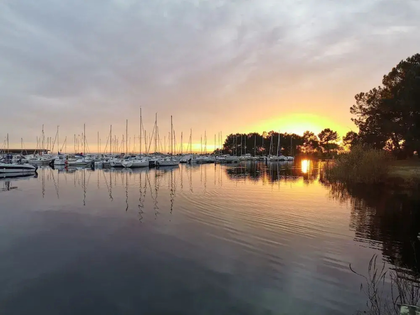 Secluded Chalet in Hourtin With Swimming Pool