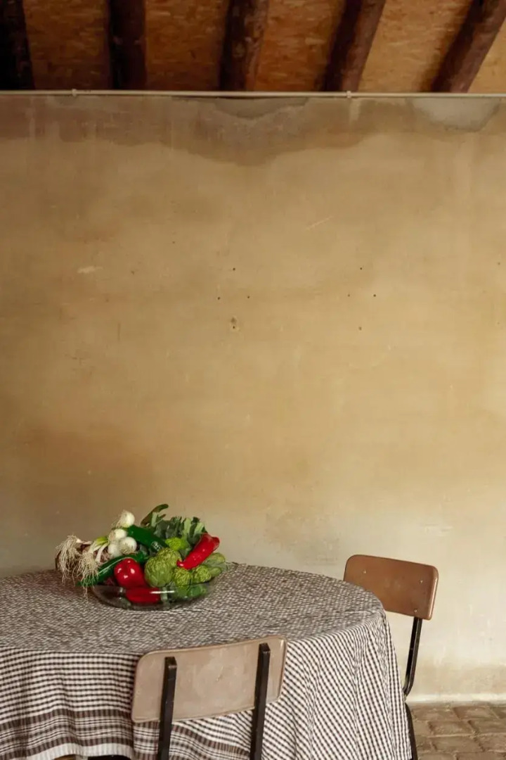 Masia CasaJoana Rural