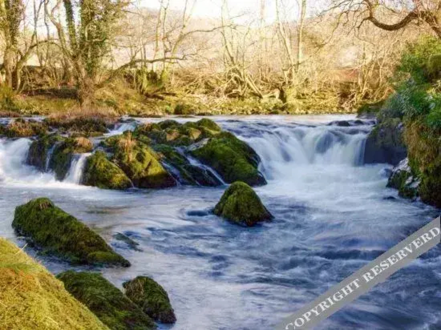 Ty Derw Country House B&B
