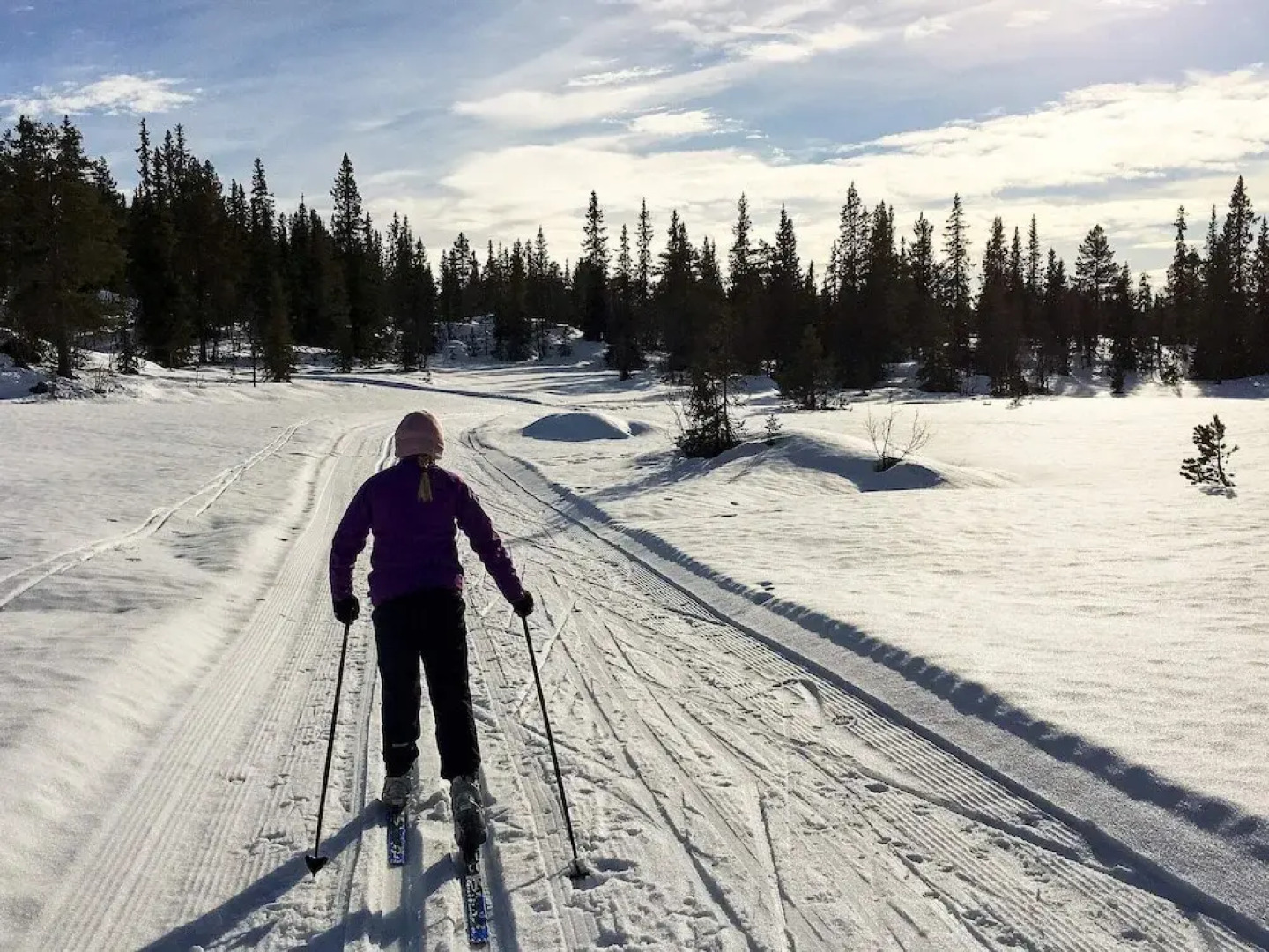 8 Person Holiday Home in Flatdal