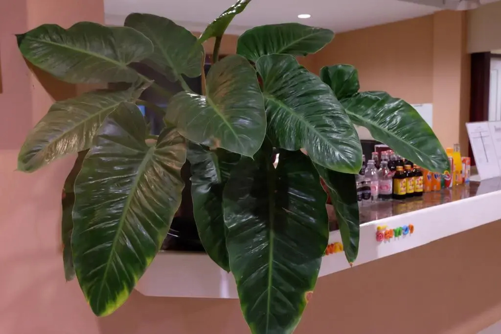 Juntima Place at Amphawa