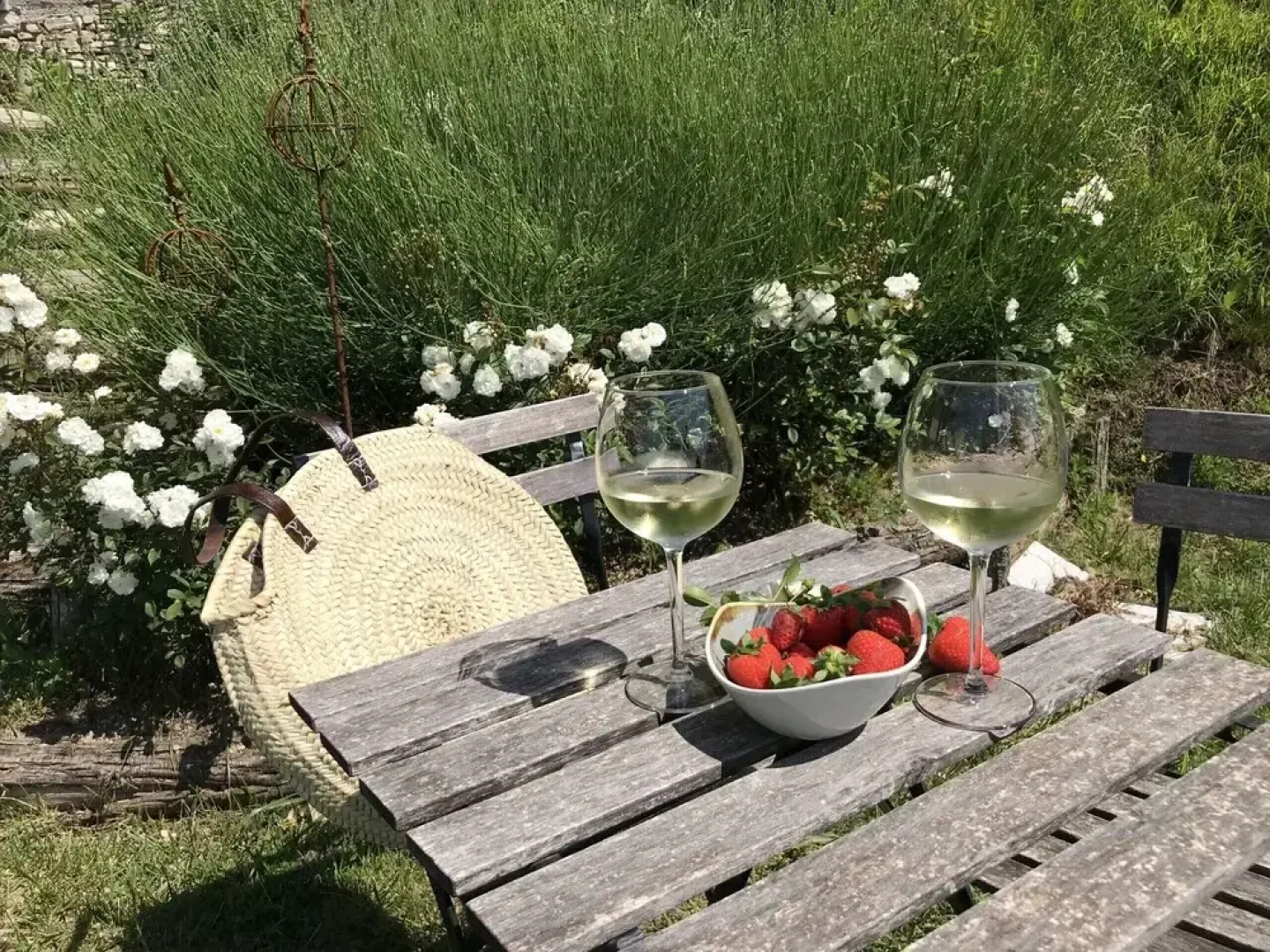 BnB Borgo le Vigne - La Vendemmia
