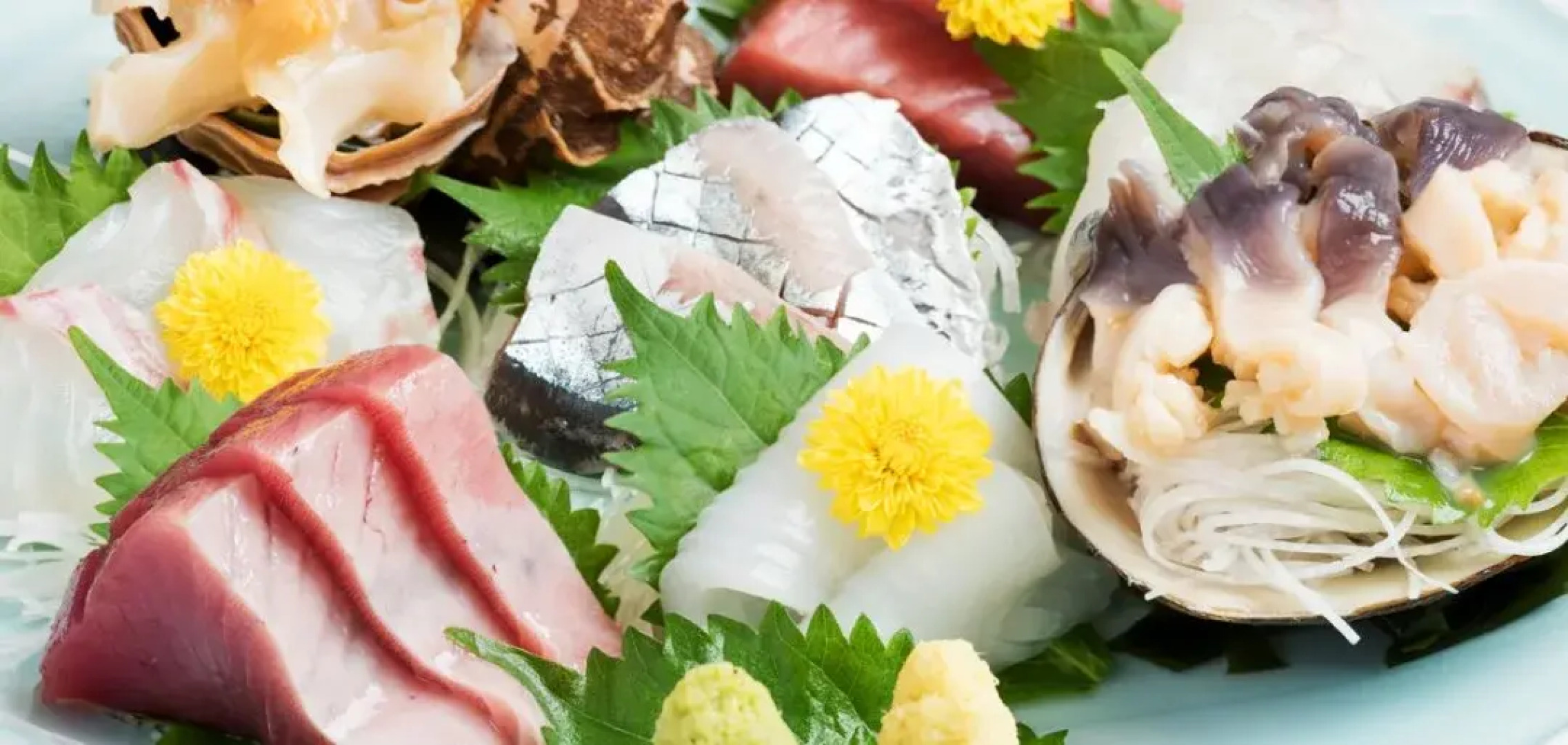 Ryokan Sakanaya Honten