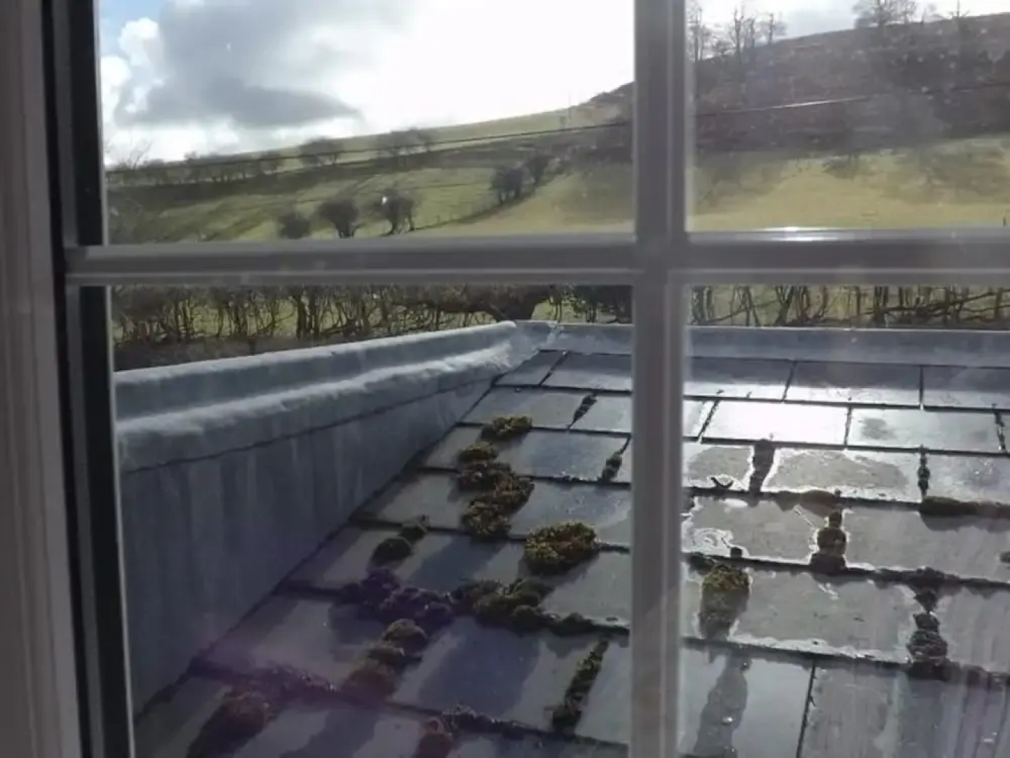 The Red Lion Country Inn