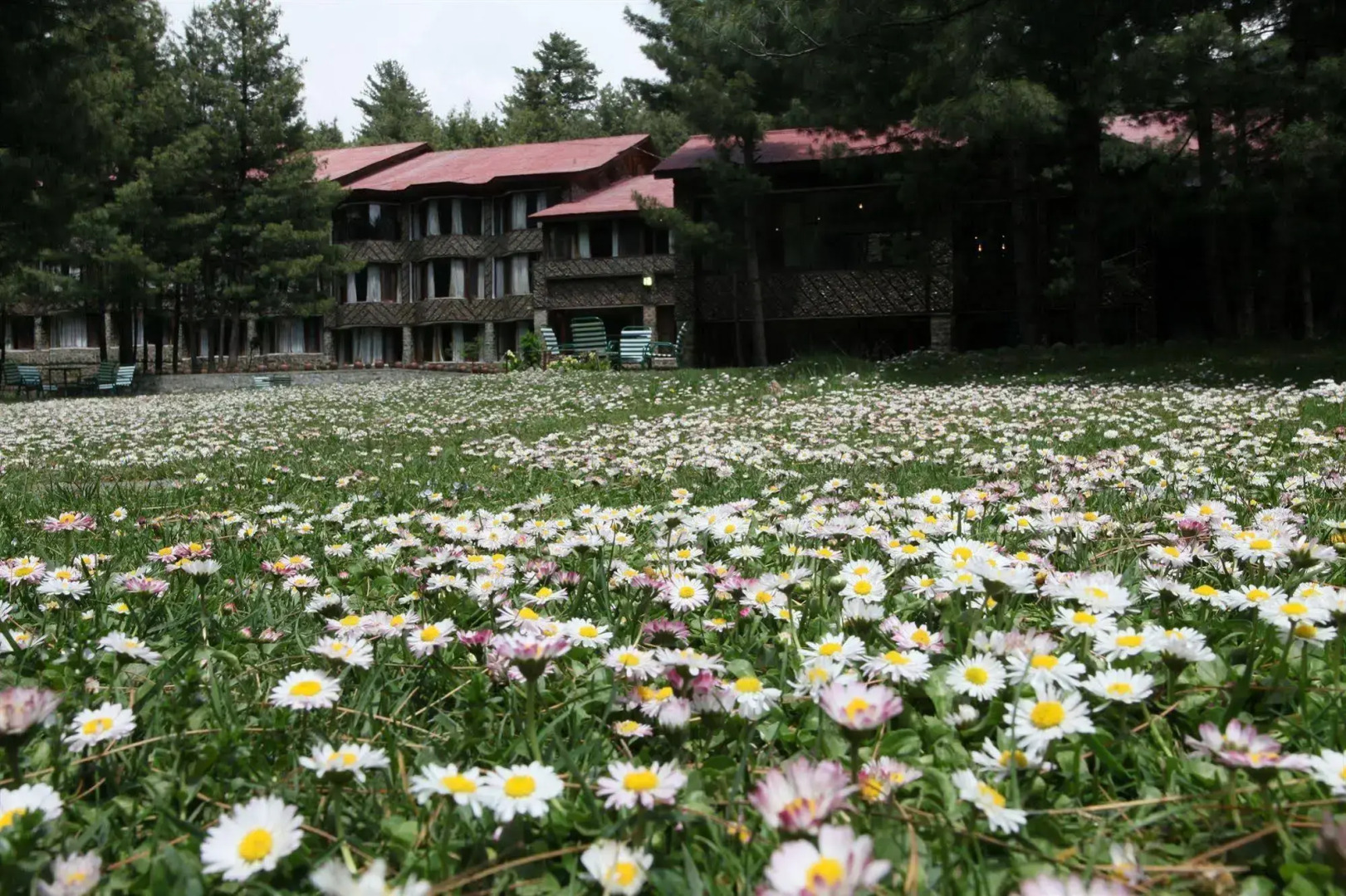 Welcomhotel by ITC Hotels, Pine N Peak, Pahalgam