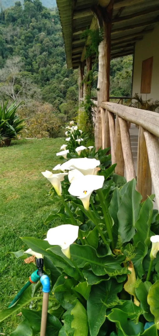 Rancho Pedra do Picú