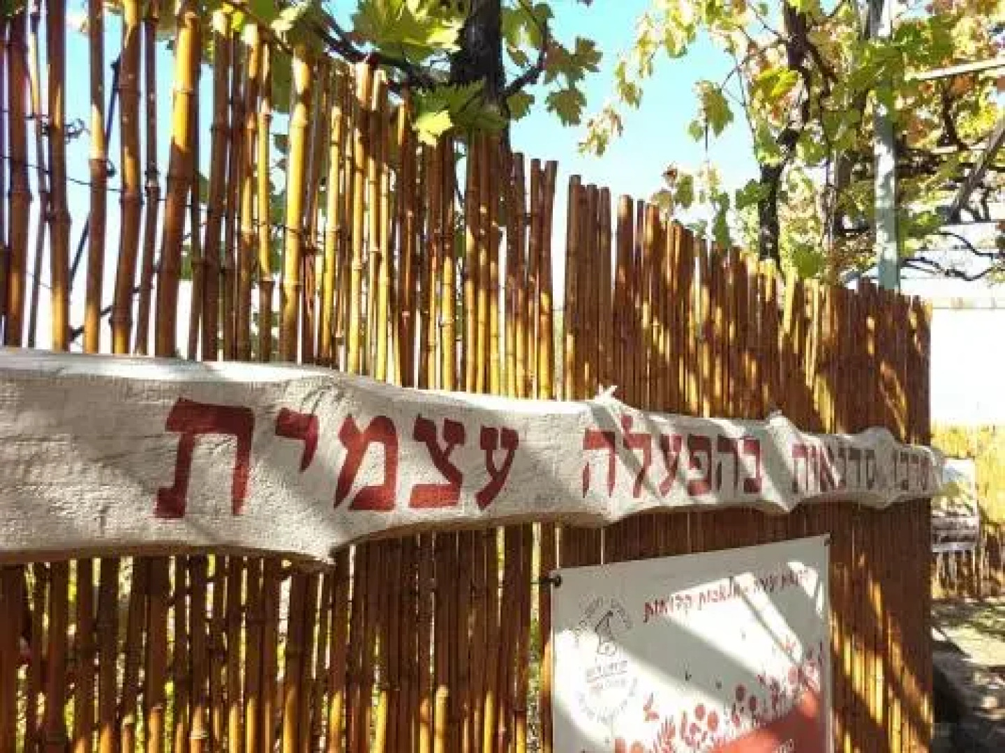 Back to Nature via the Bible