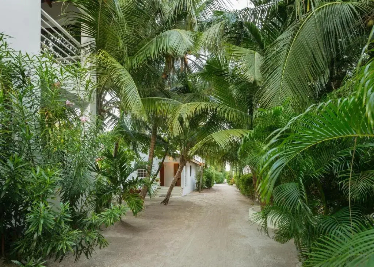 Weezie's Ocean Front Hotel and Garden Cottages