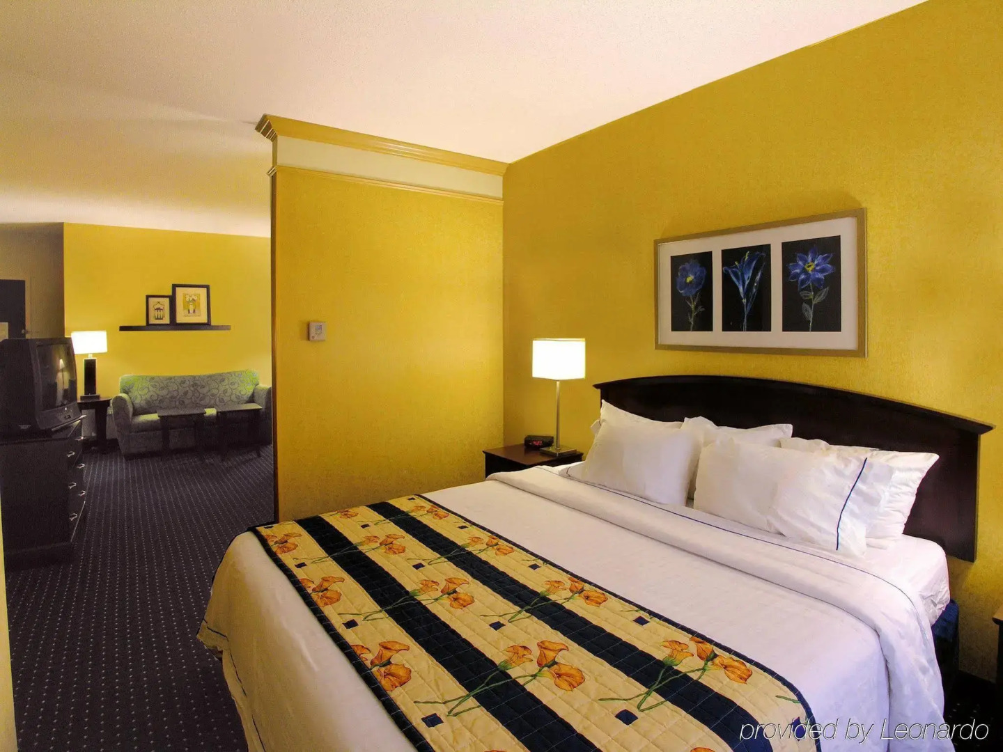 SpringHill Suites by Marriott Norfolk Virginia Beach