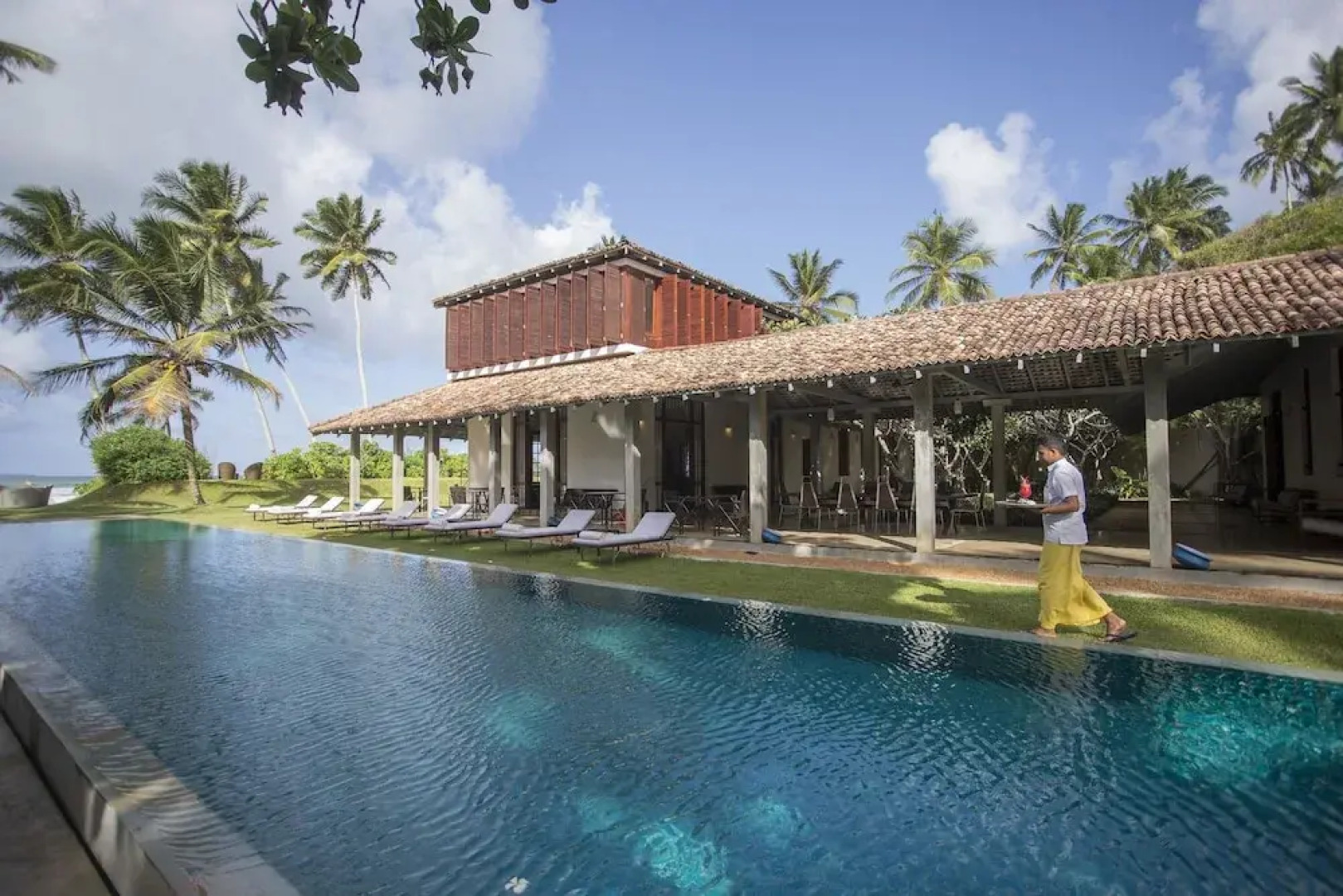 The Frangipani Tree by Edwards Collection