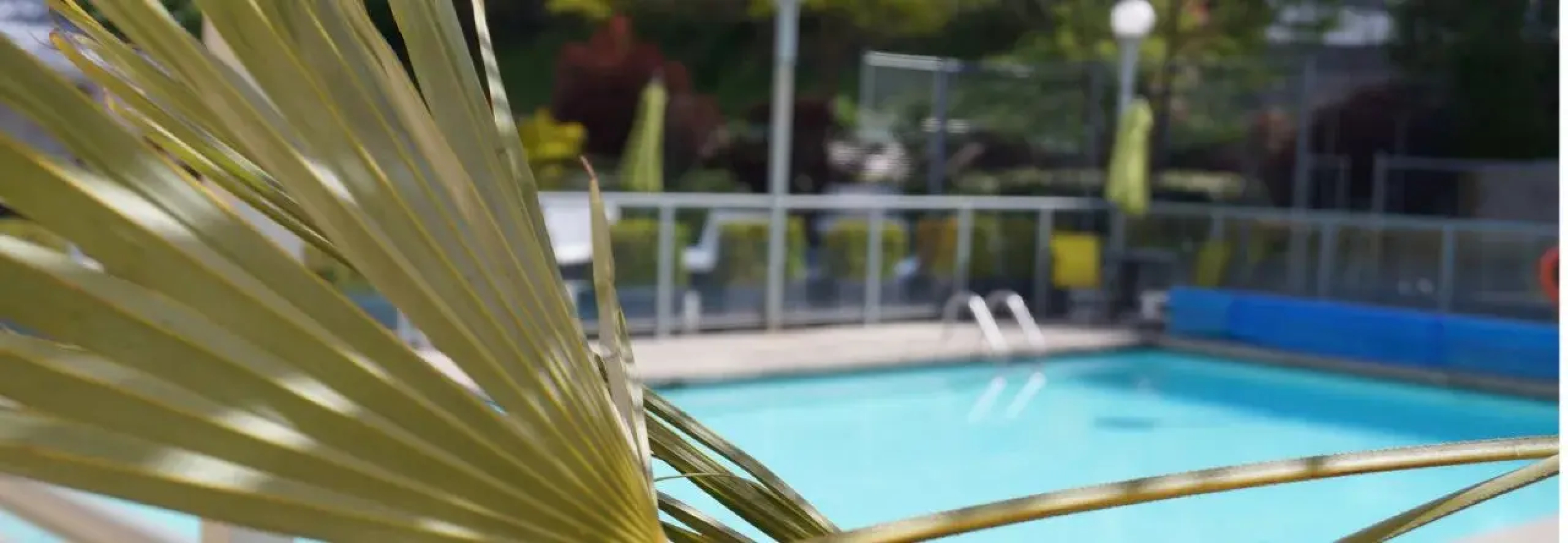 Executive Plaza Hotel Metro Vancouver