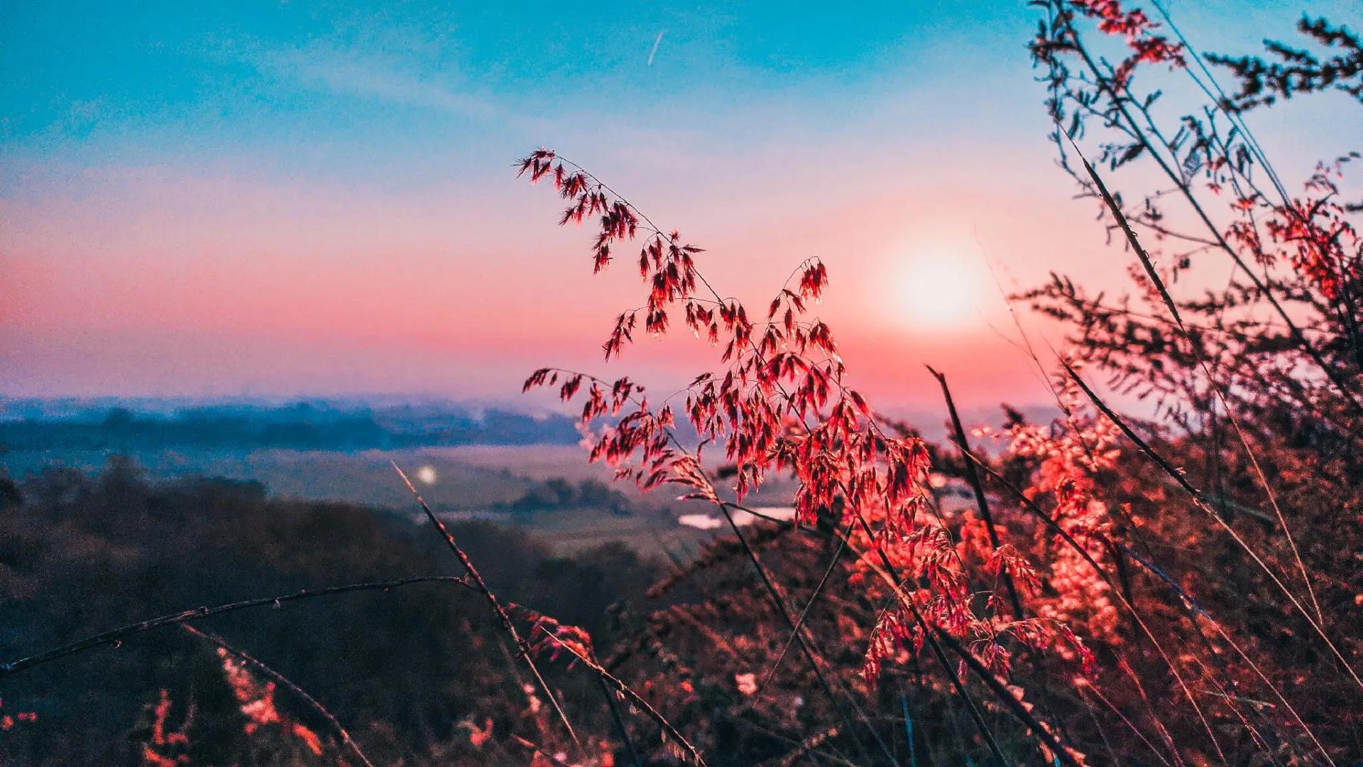 Hotel YNO Castle Kepanjen