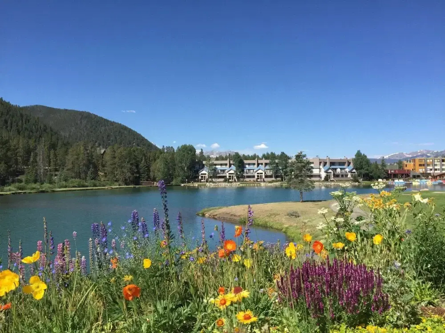 Montezuma 1771 by SummitCove Vacation Lodging