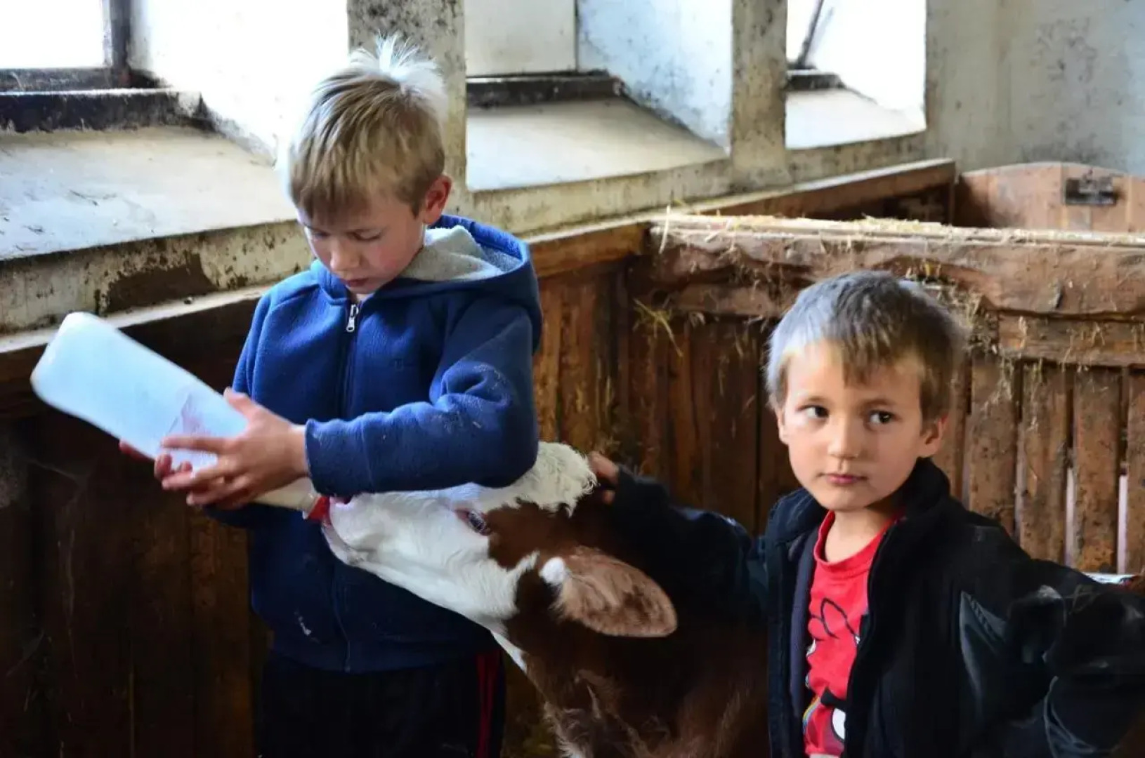 Ferienwohnungen Bachergut