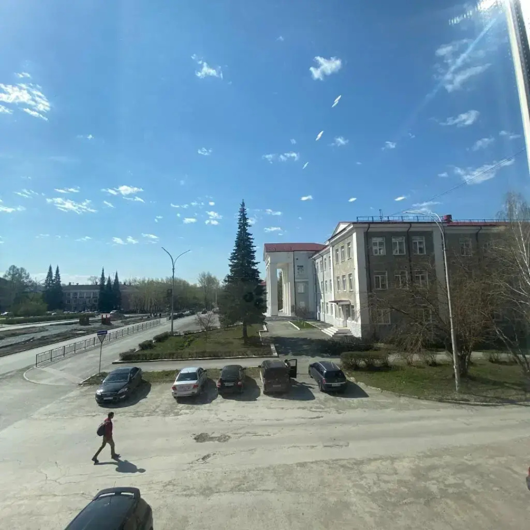 Желтый Нарцисс на улице Уральская