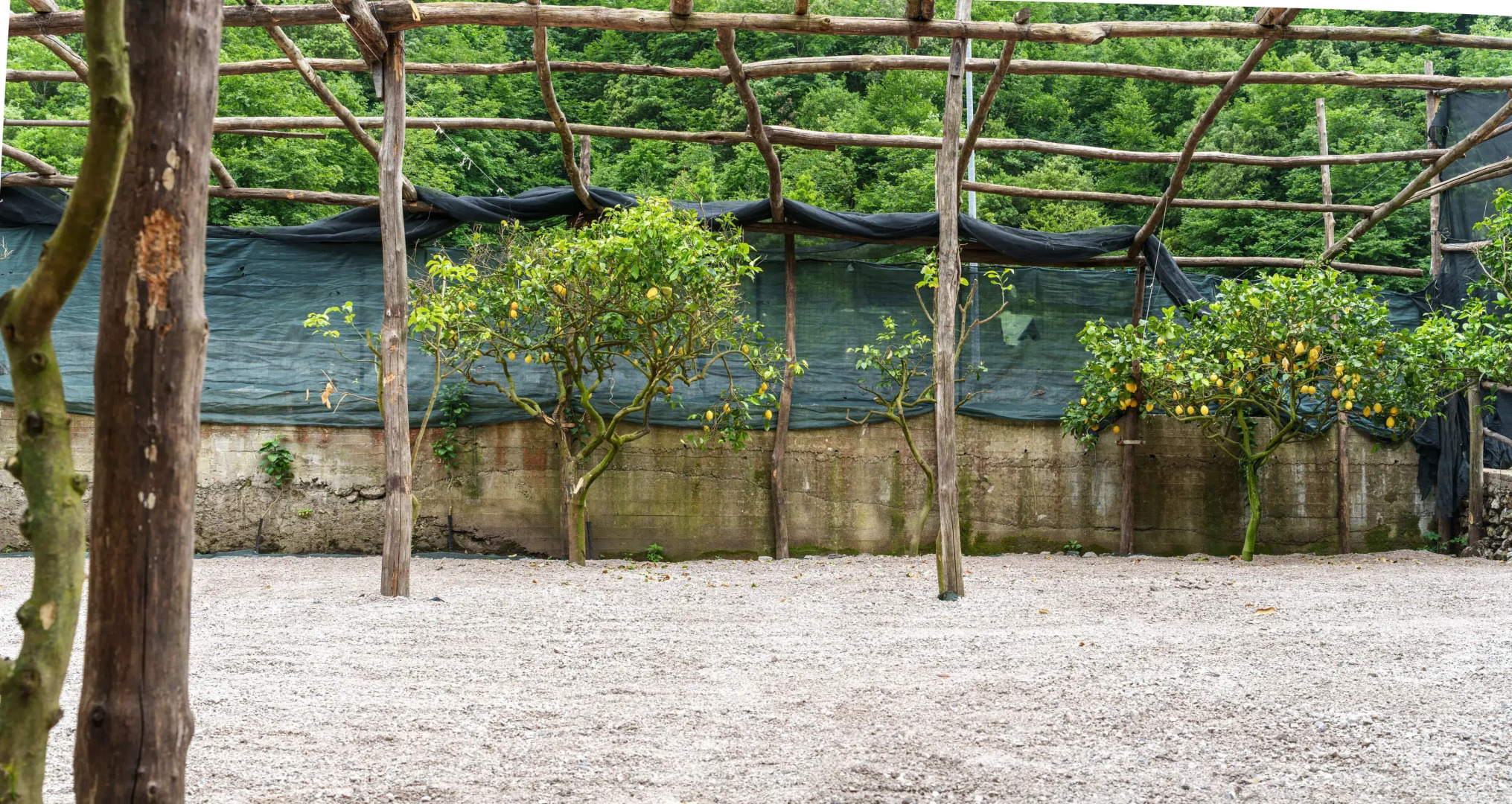 CVM Montagnella Relax