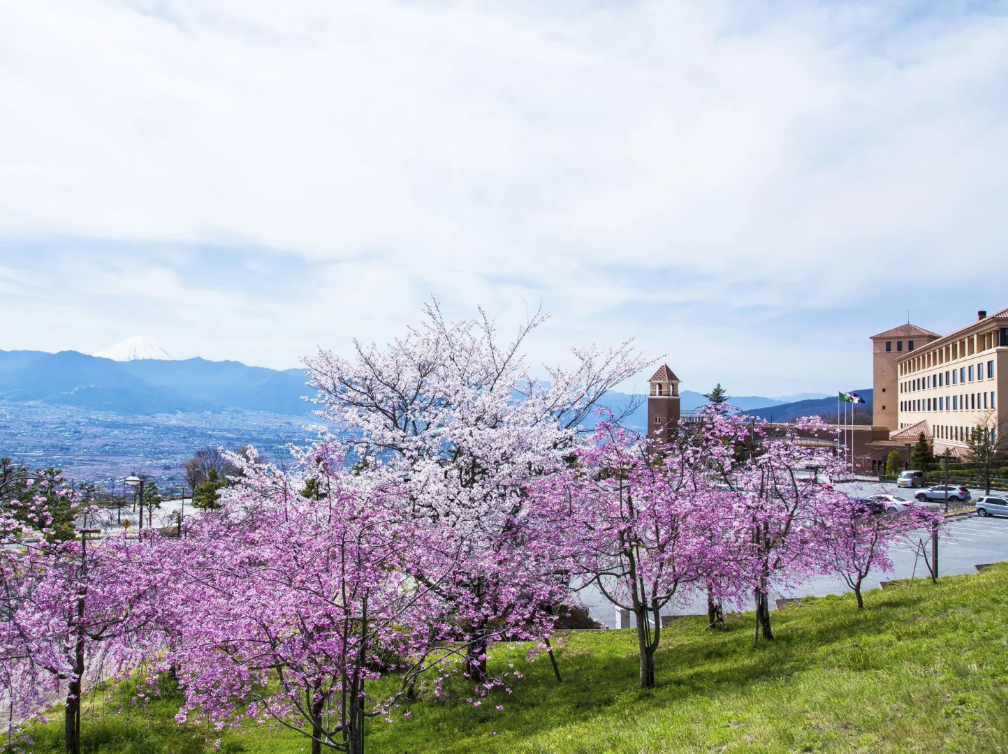 Fruit Park Fujiya Hotel