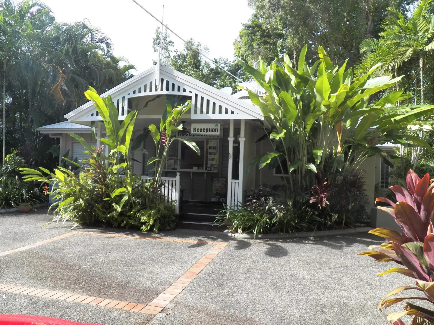 Palm Cove Tropic Apartments