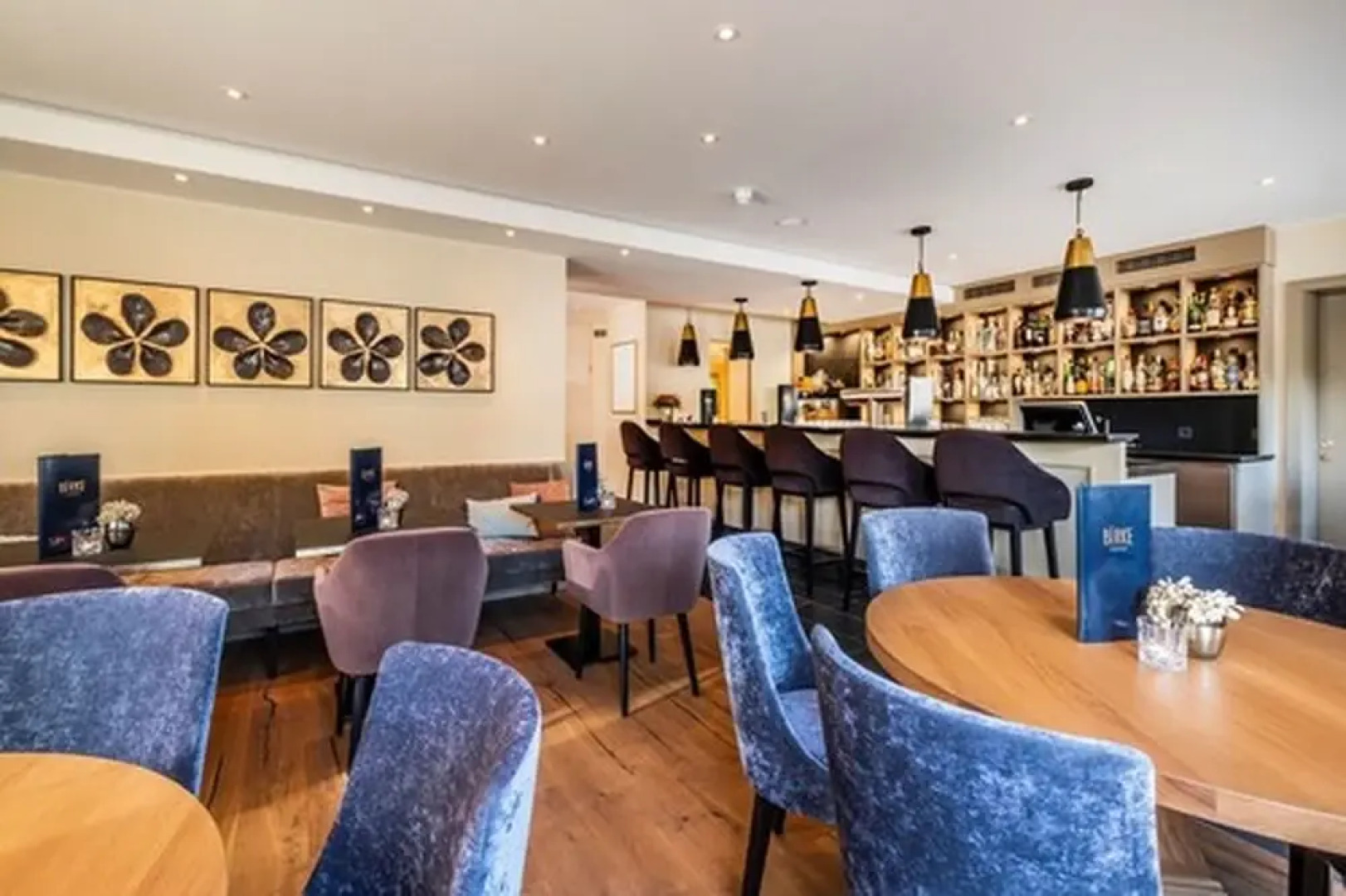 Hotel Birke - Appartments Waldesruh