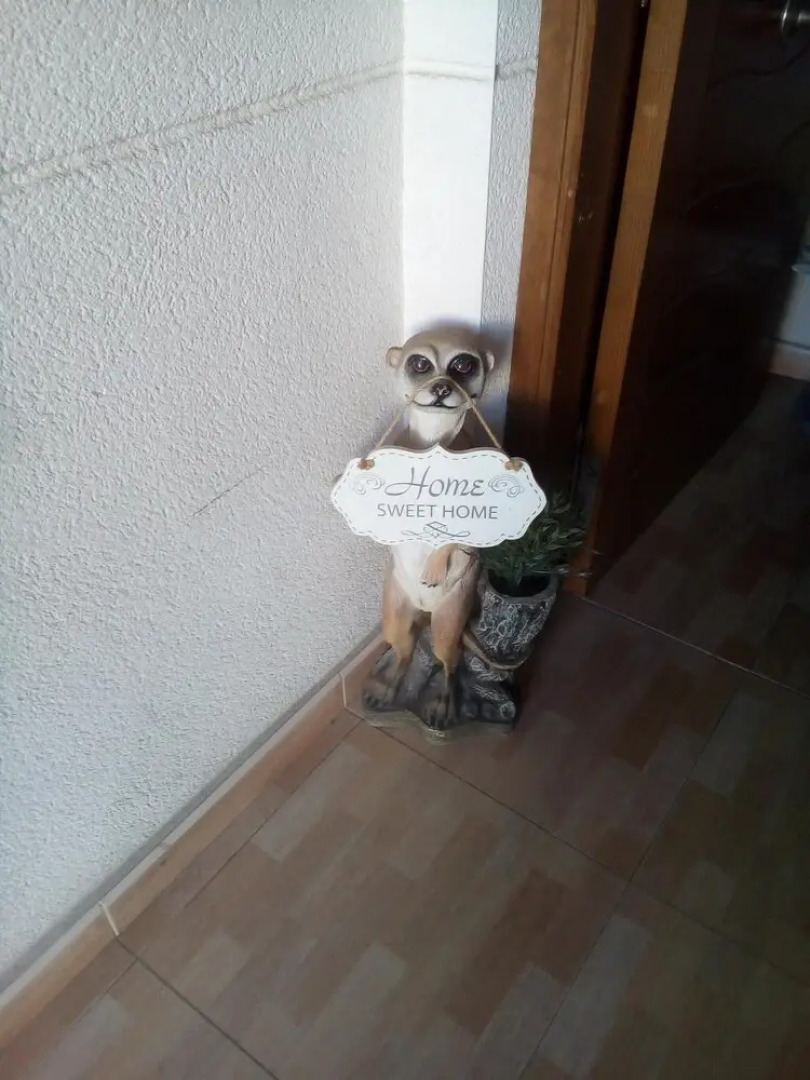 Villa With 3 Bedrooms in Los Montesinos, With Private Pool, Furnished