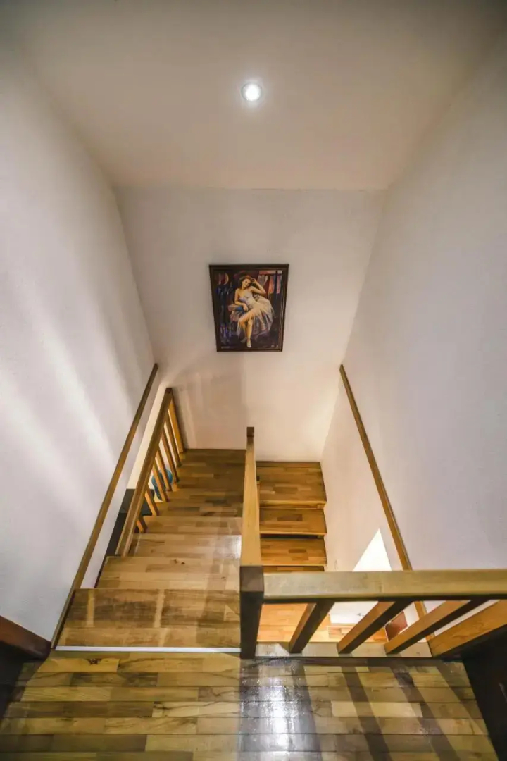 Lodge Zeleni svet