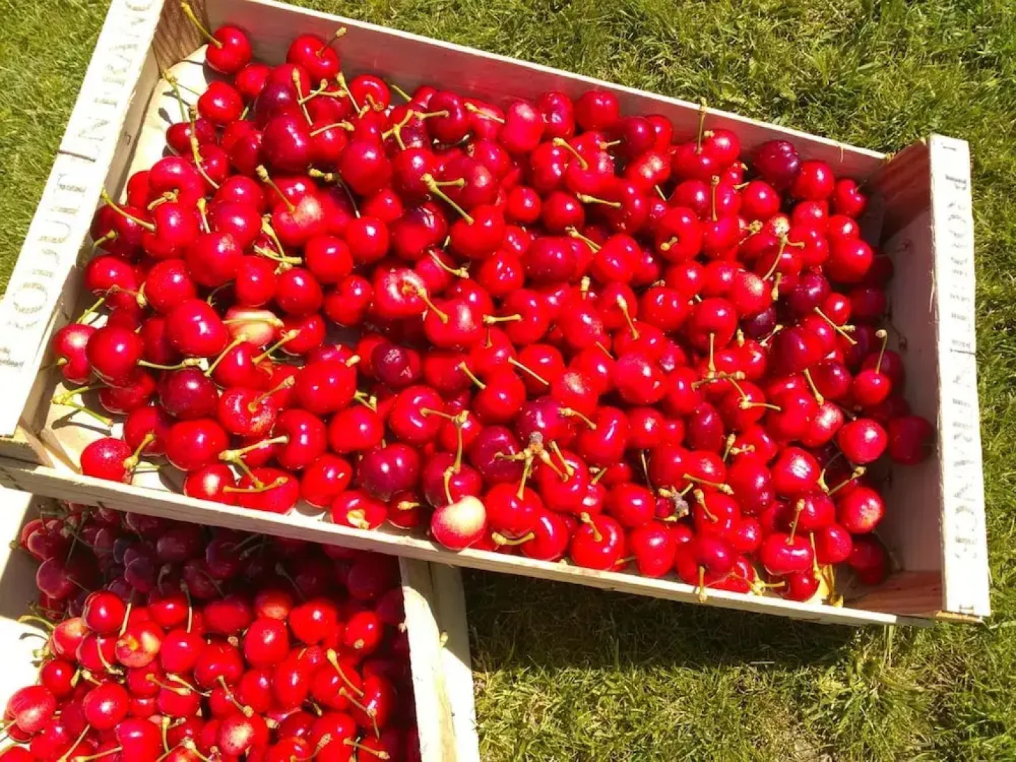 Bungalow With one Bedroom in Elne, With Wonderful Mountain View and Te