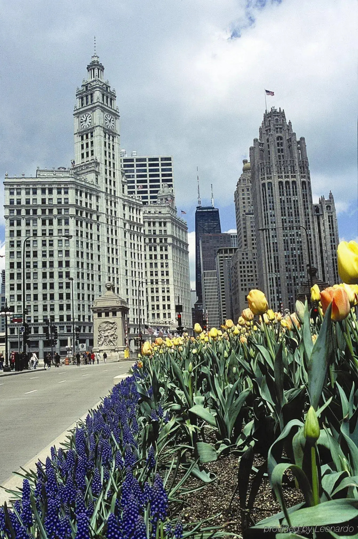 InterContinental Chicago Magnificent Mile by IHG