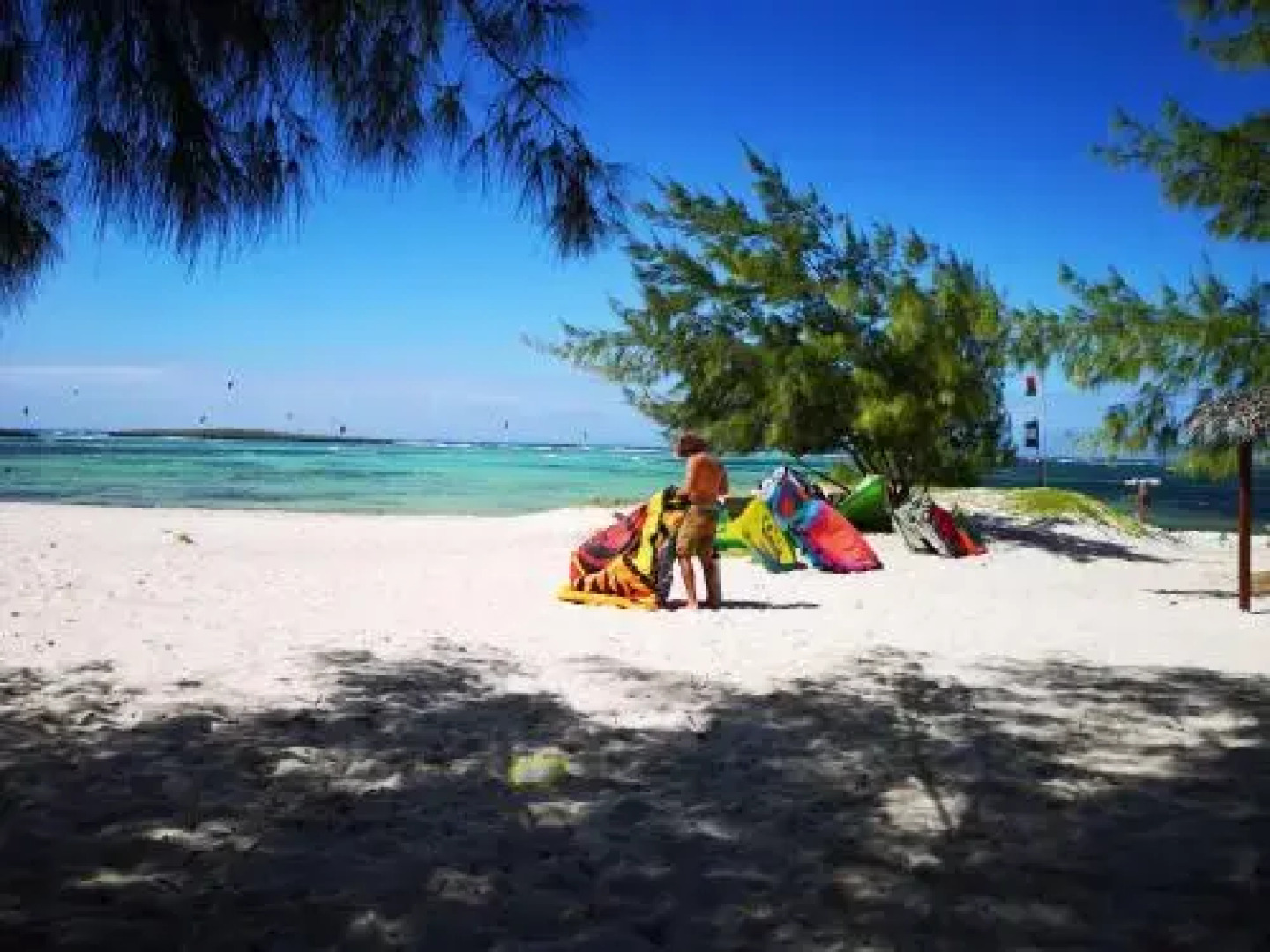 Ocean Lodge Kite  Windsurf