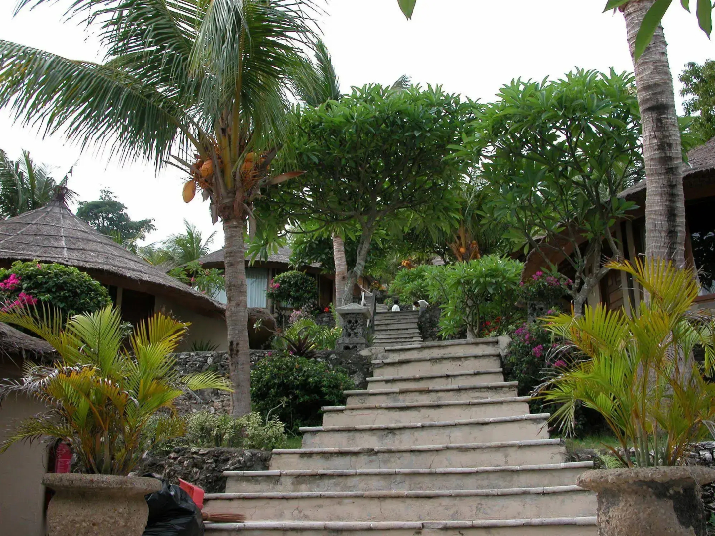 Coconuts Beach Resort