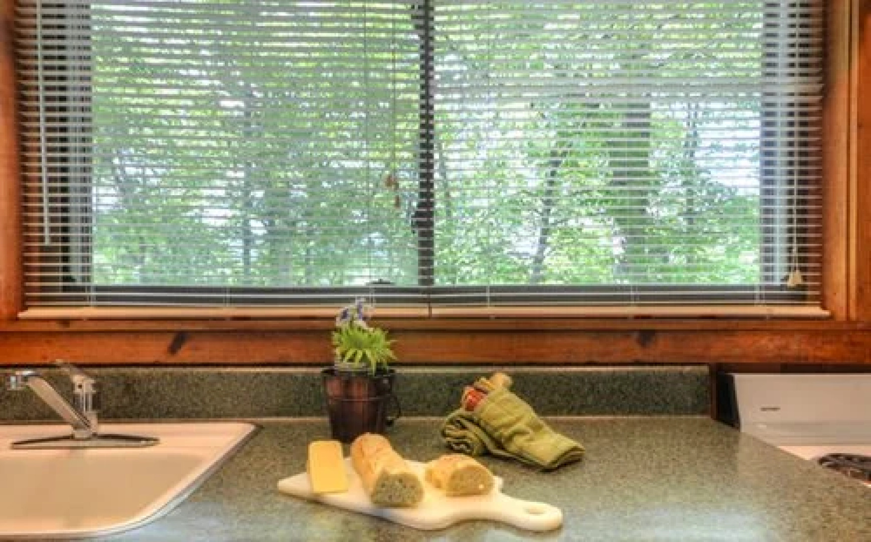 Nantahala Rafting Bear