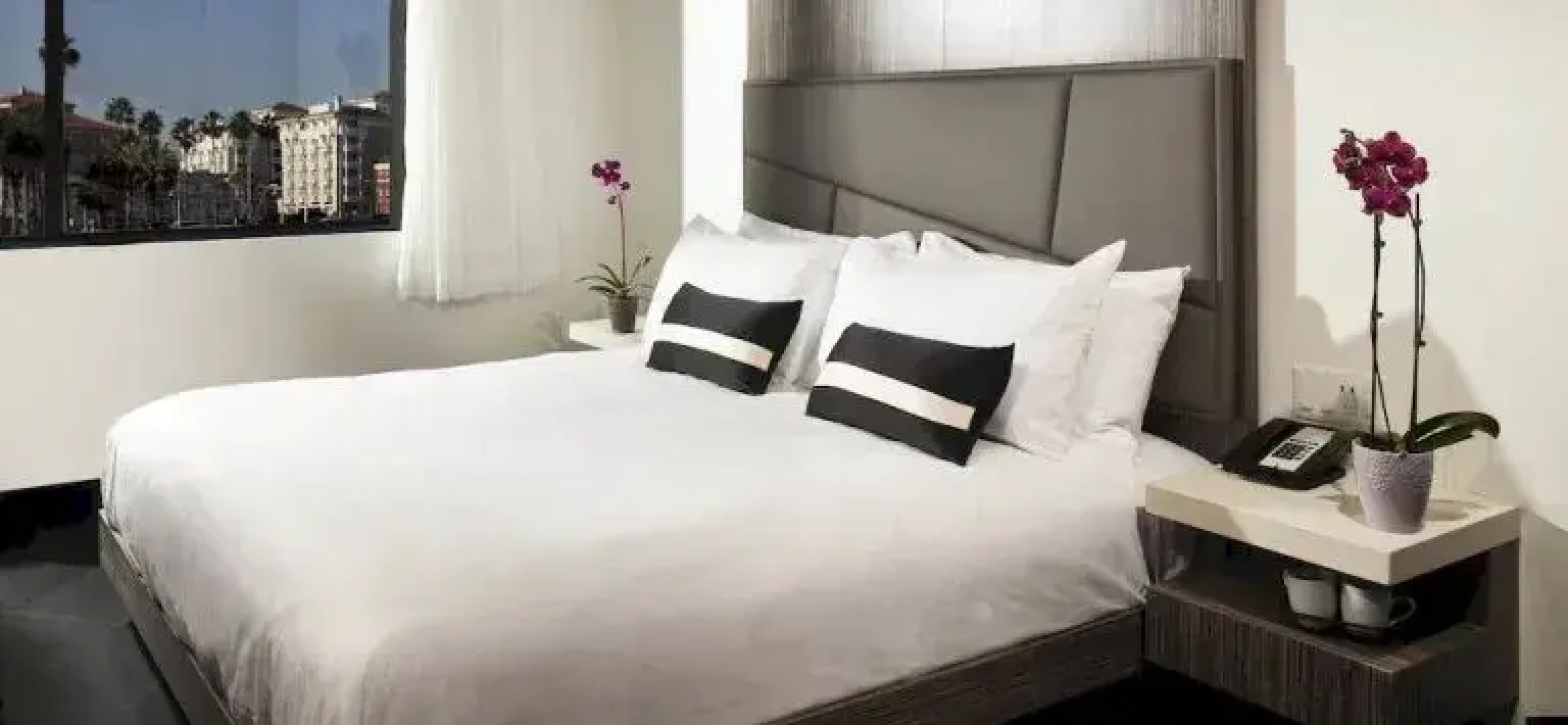 Capital Inn  Suites Hotel