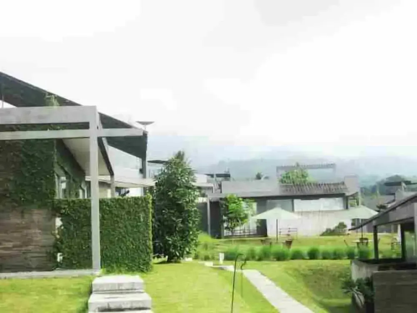 Tea Garden Resort